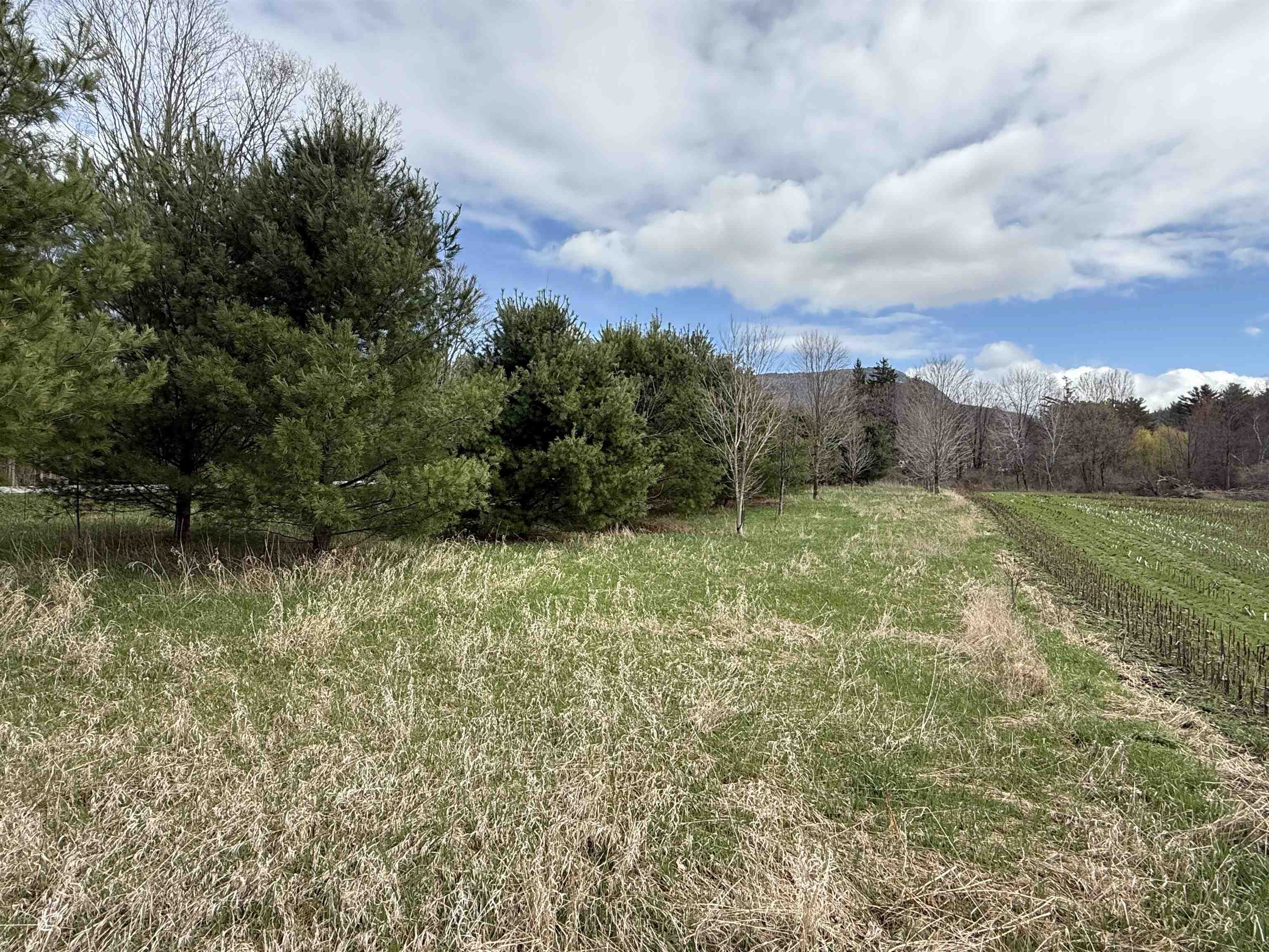 Tbd Hewitt Road Property Photo 6