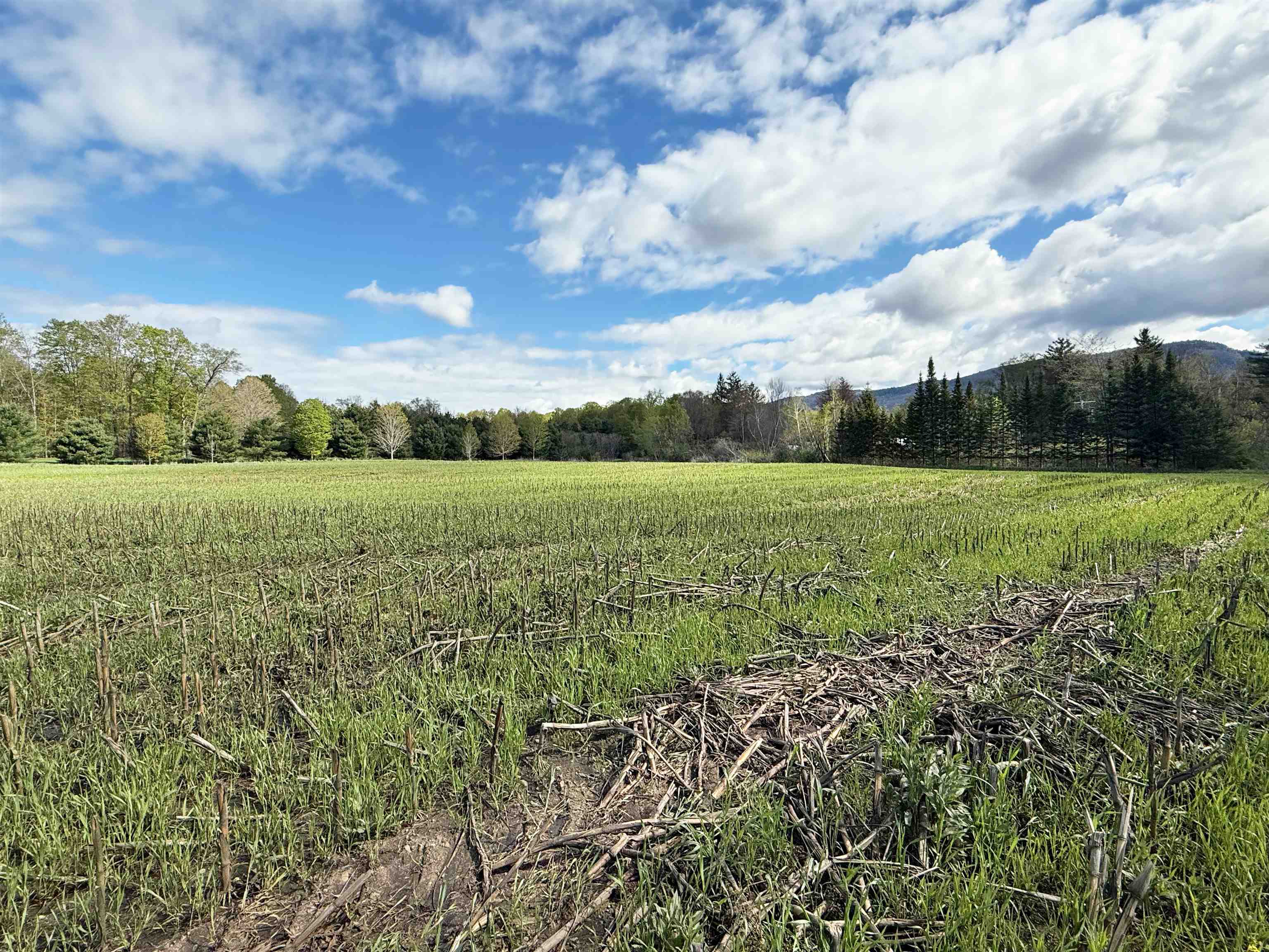 Tbd Hewitt Road Property Photo 7