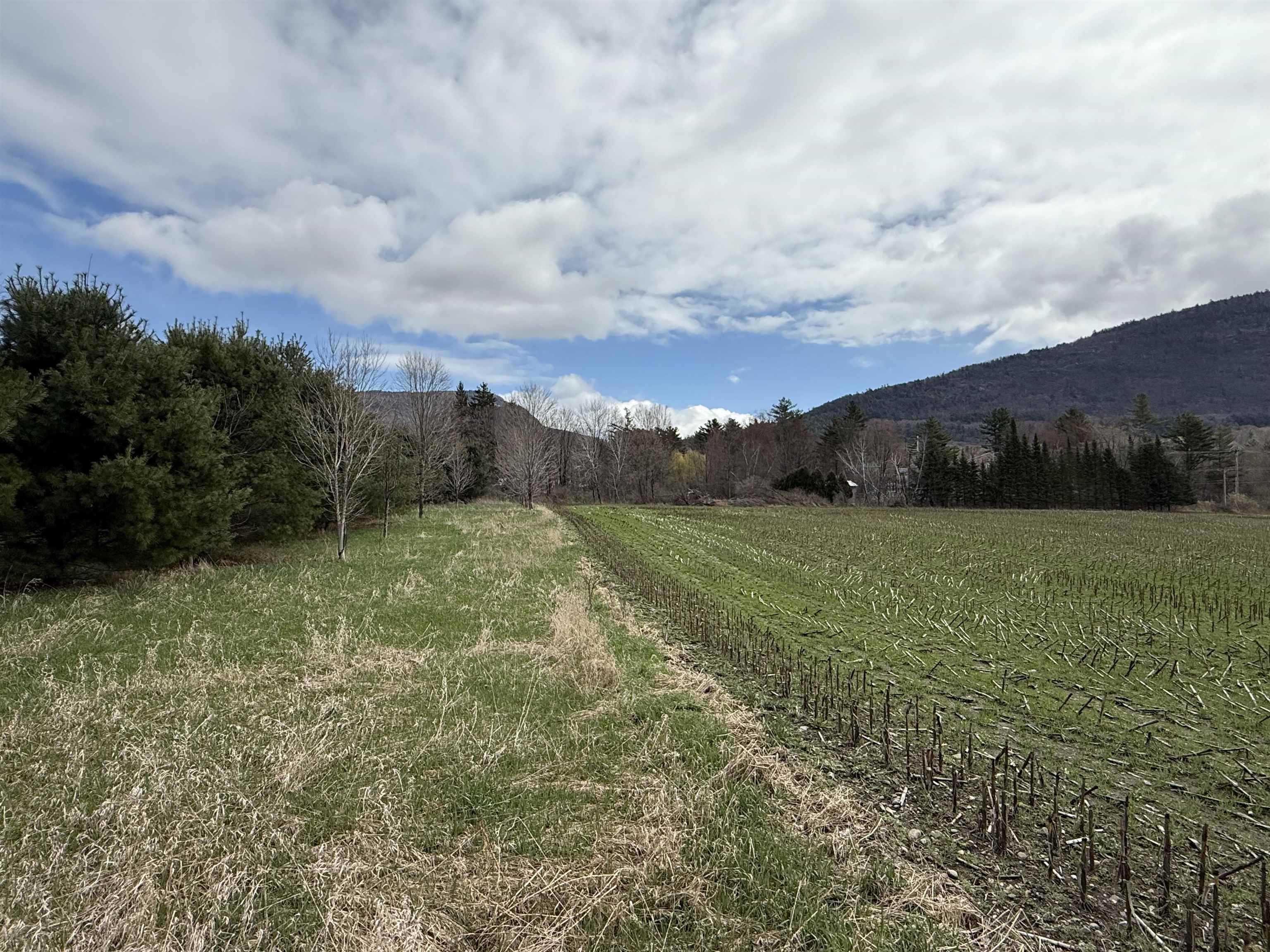 Tbd Hewitt Road Property Photo 11