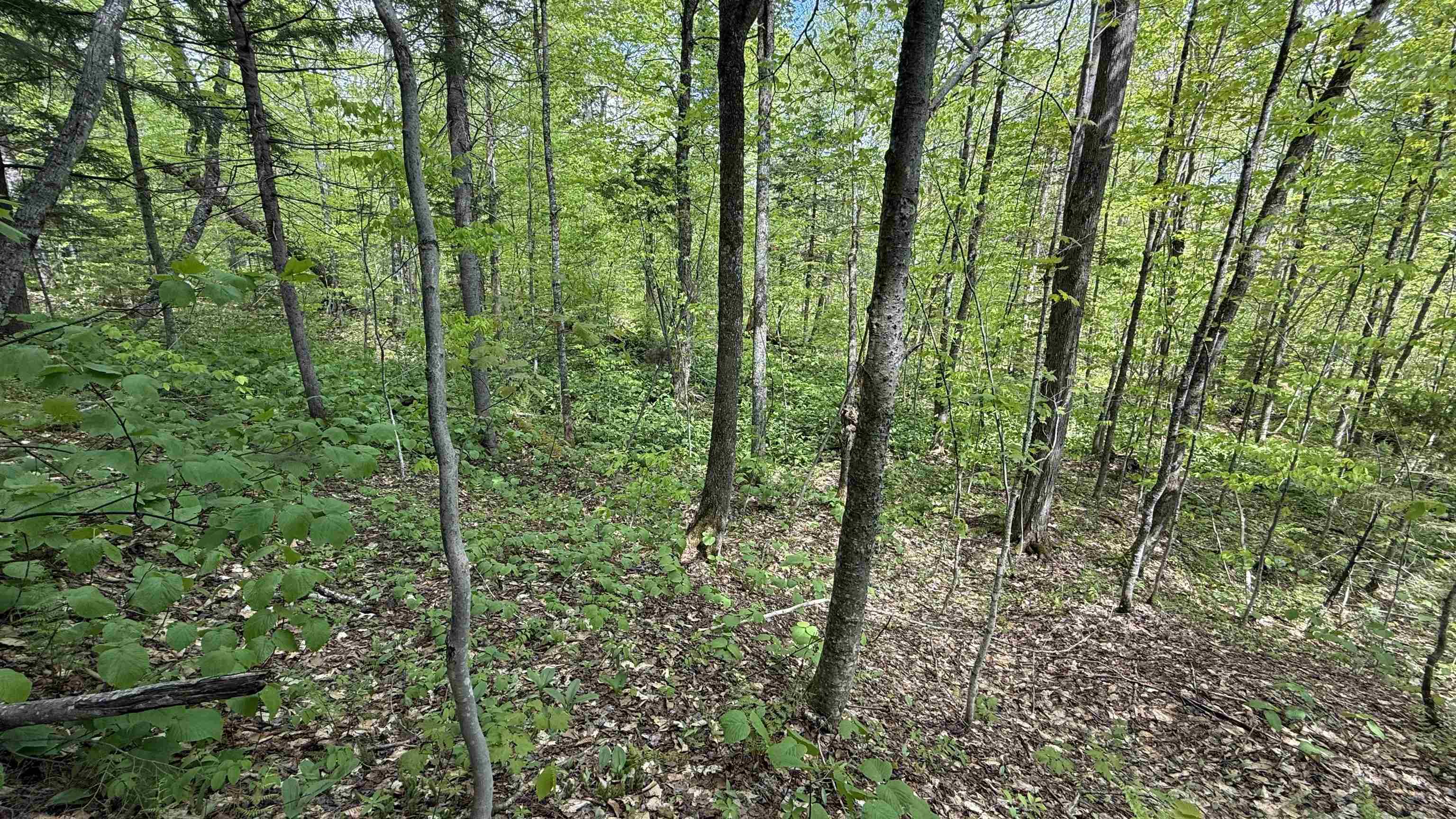 00 Potter Road Property Photo 22