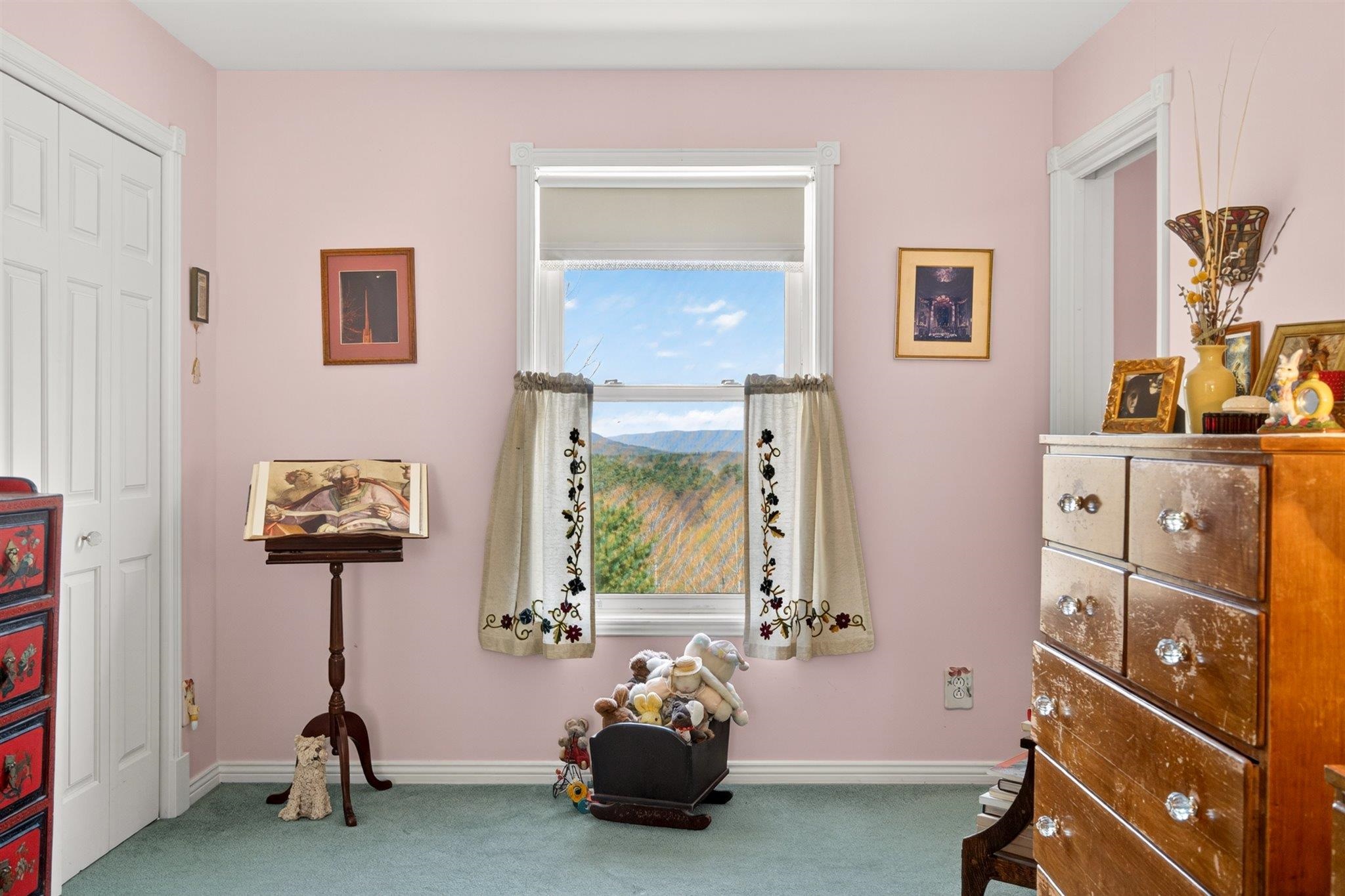 142 Schenkar Road Property Photo 41