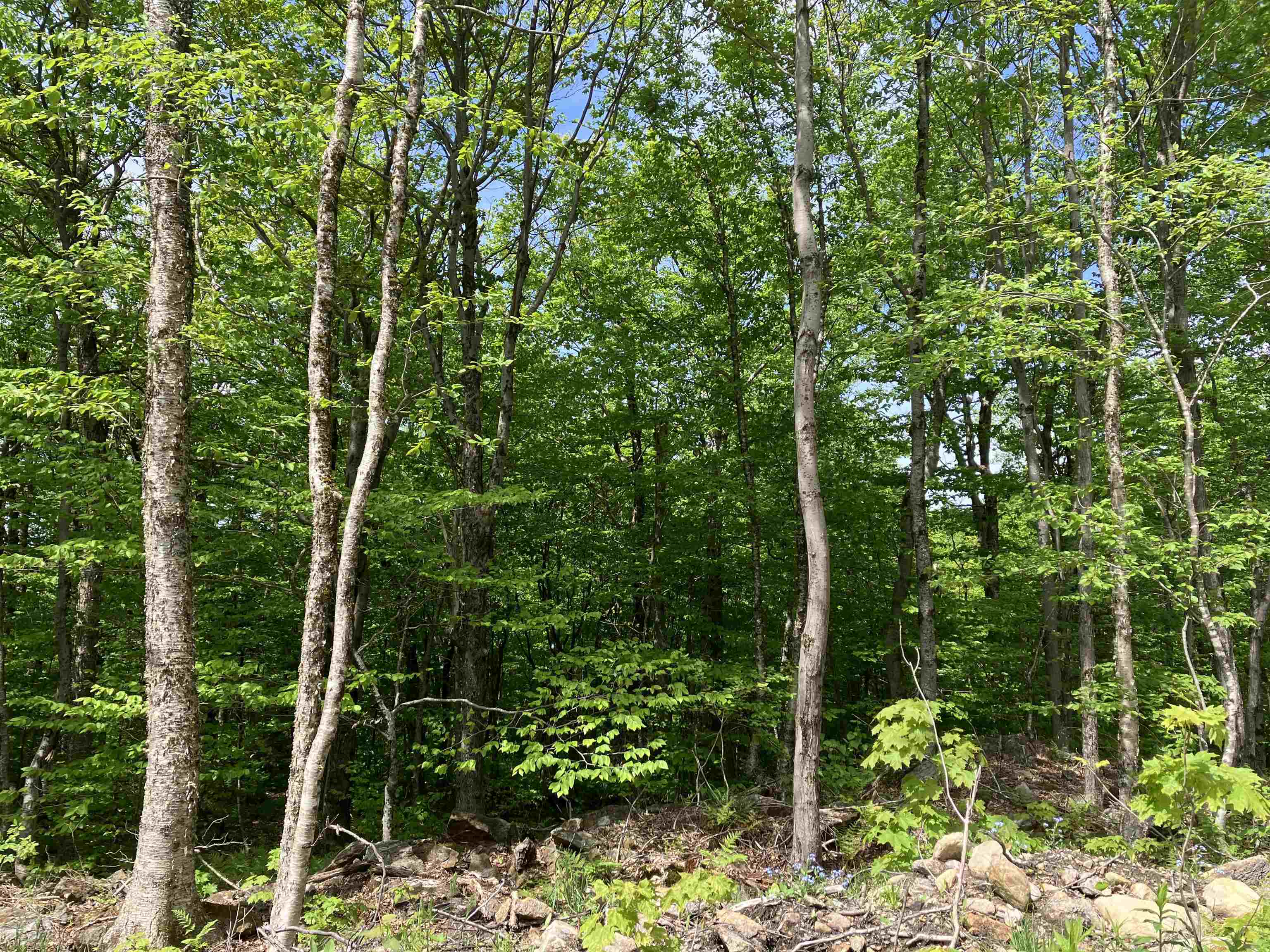 402 Fox Mt. Road Property Photo 1