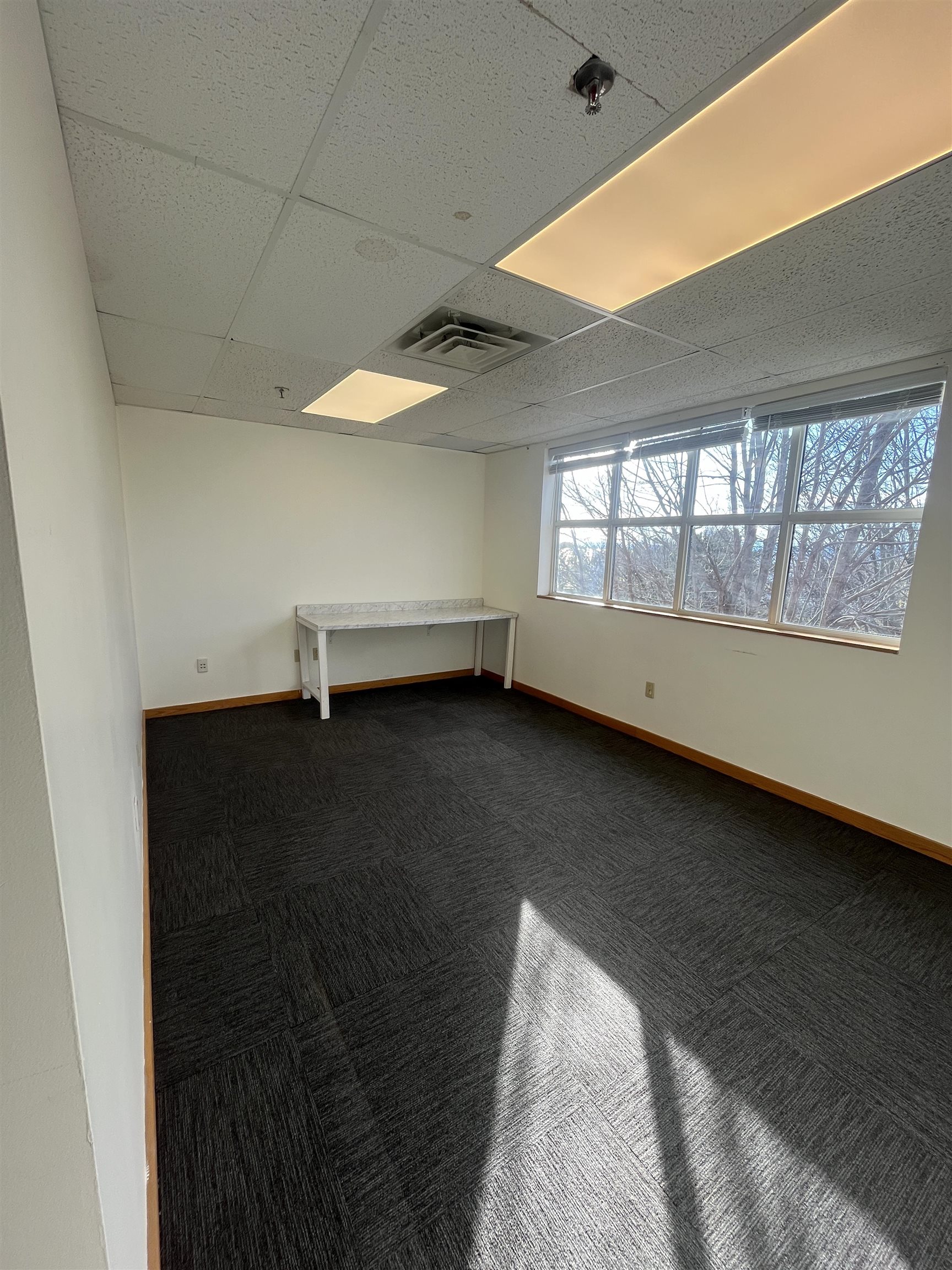 86 Lake Street Property Photo 10