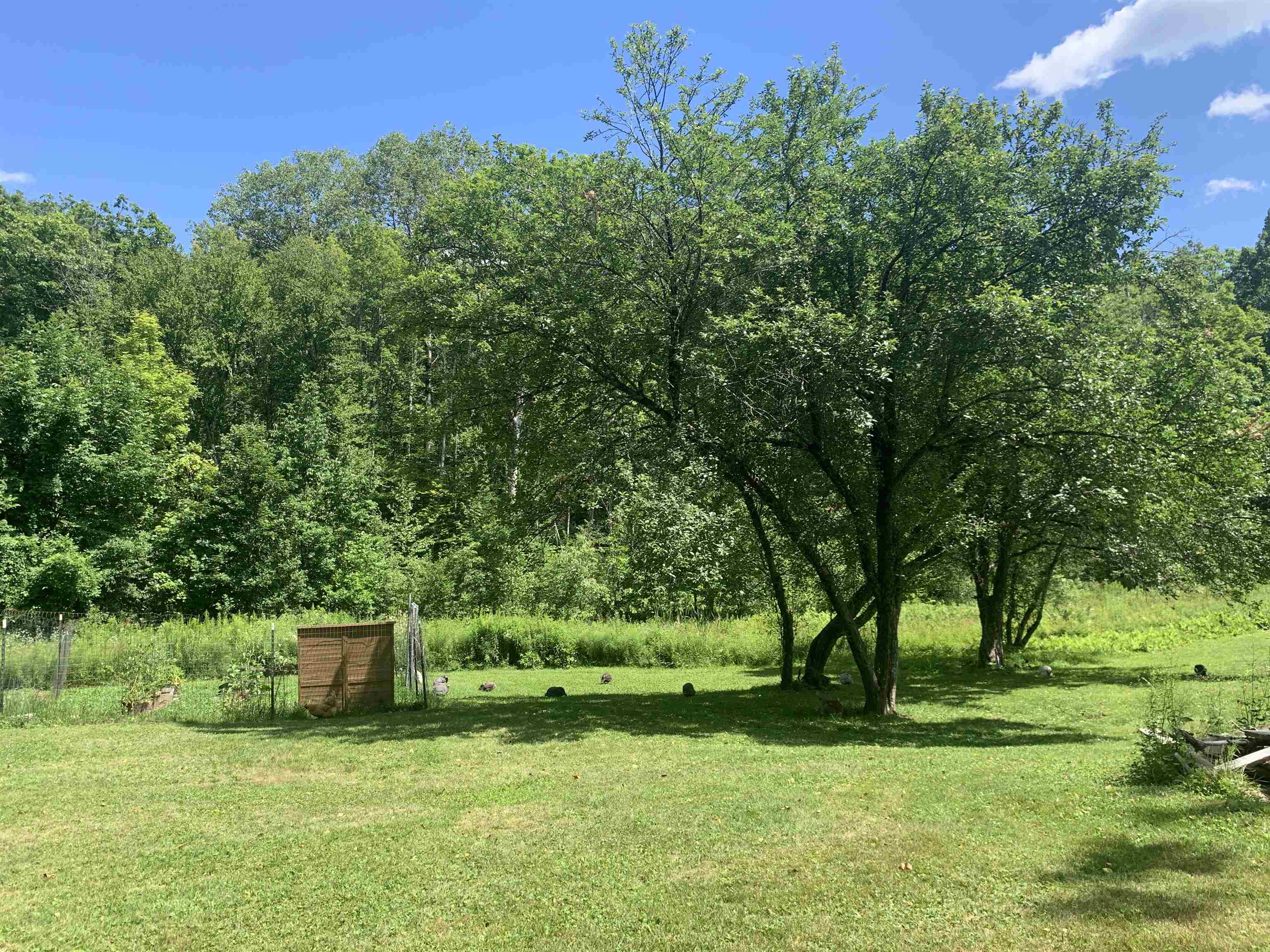 27 Bear Pond Road Property Photo 42