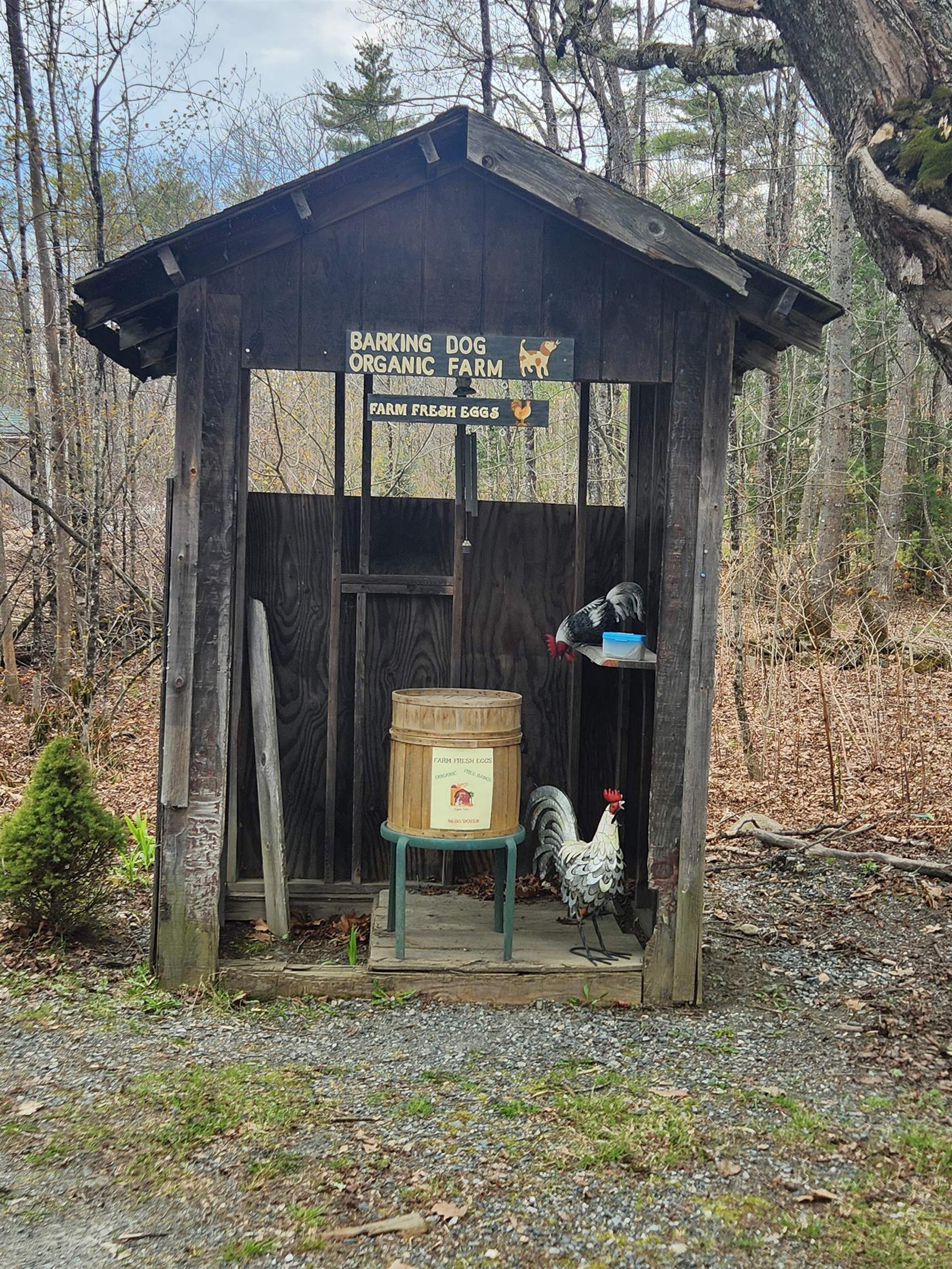 27 Bear Pond Road Property Photo 53