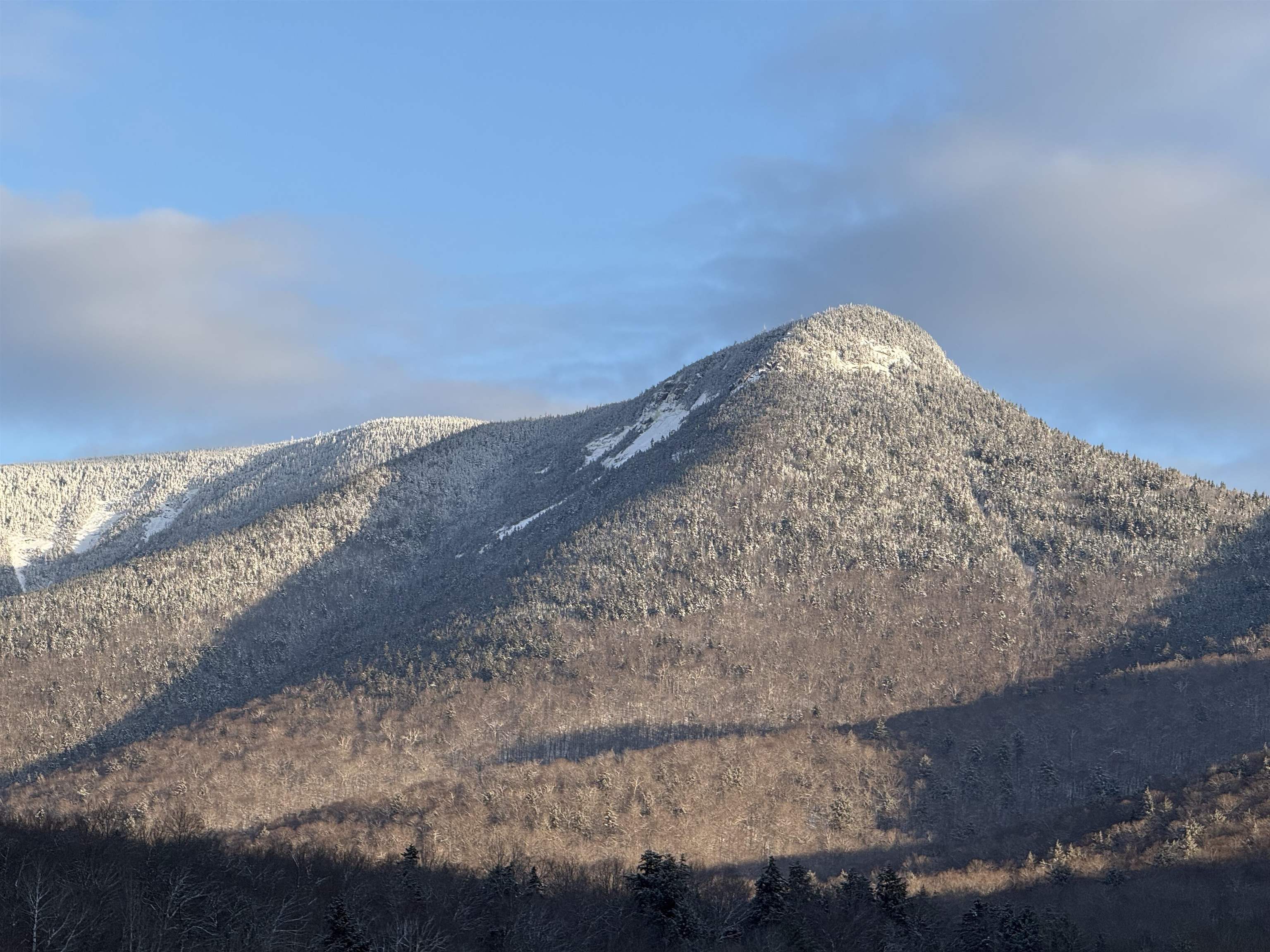 90 Loon Mountain Road Property Photo 24