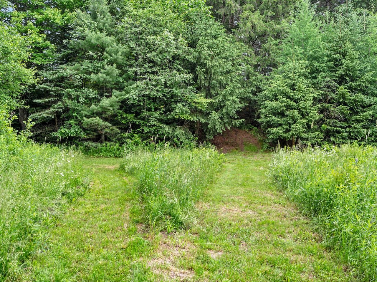 4614 Brook Road Property Photo 58