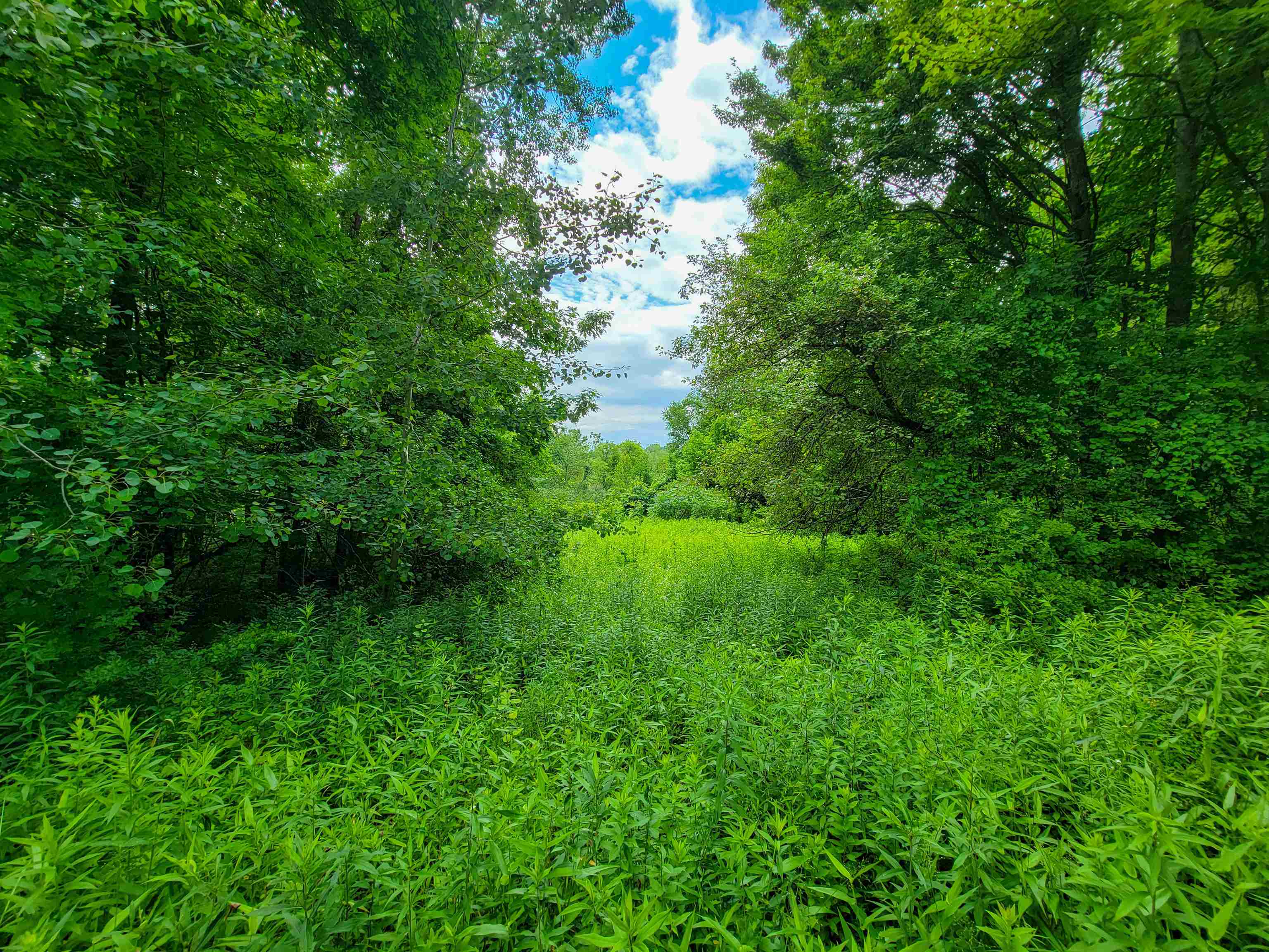 1073 Chapel Road Property Photo 7