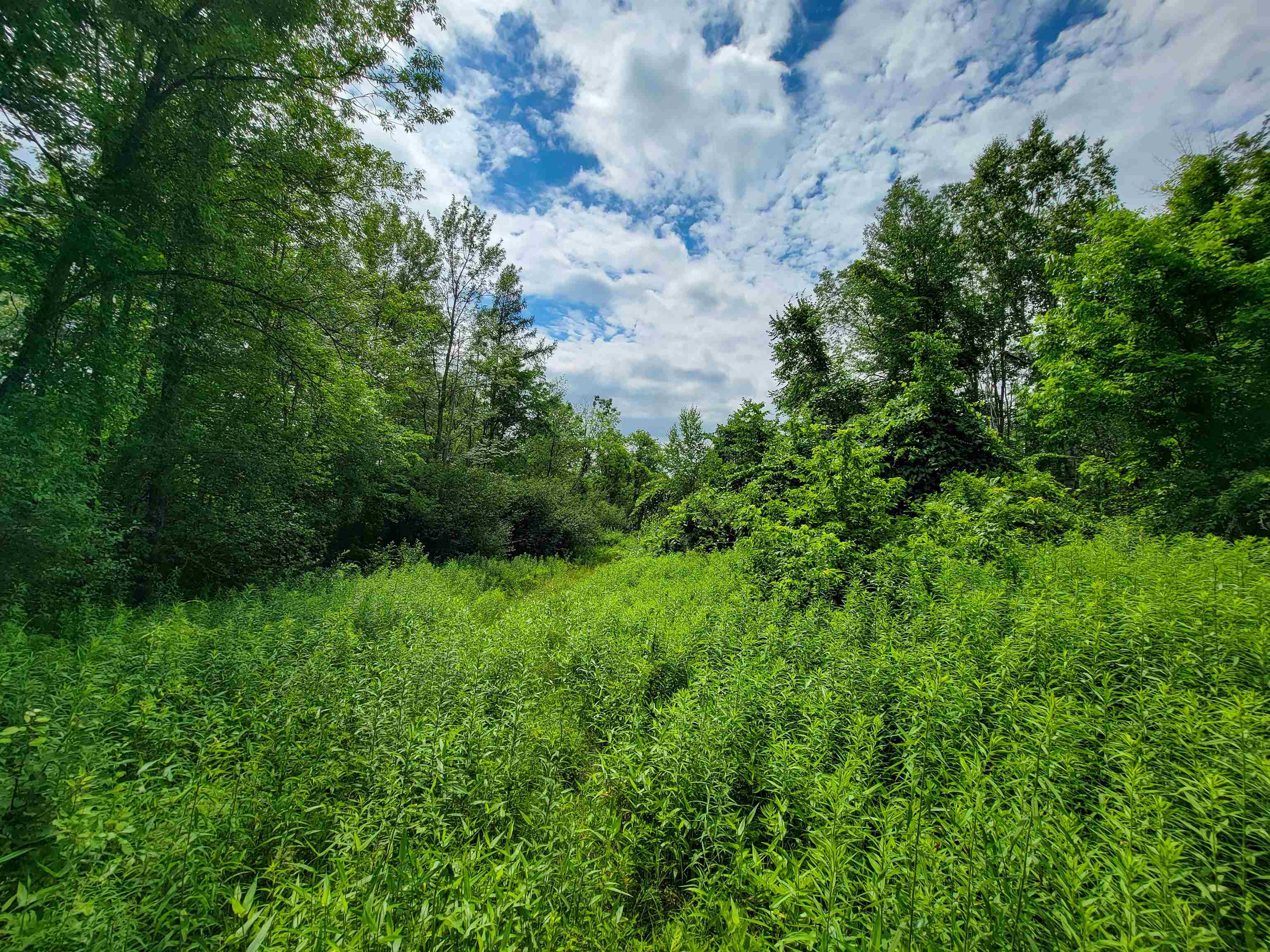 1073 Chapel Road Property Photo 10