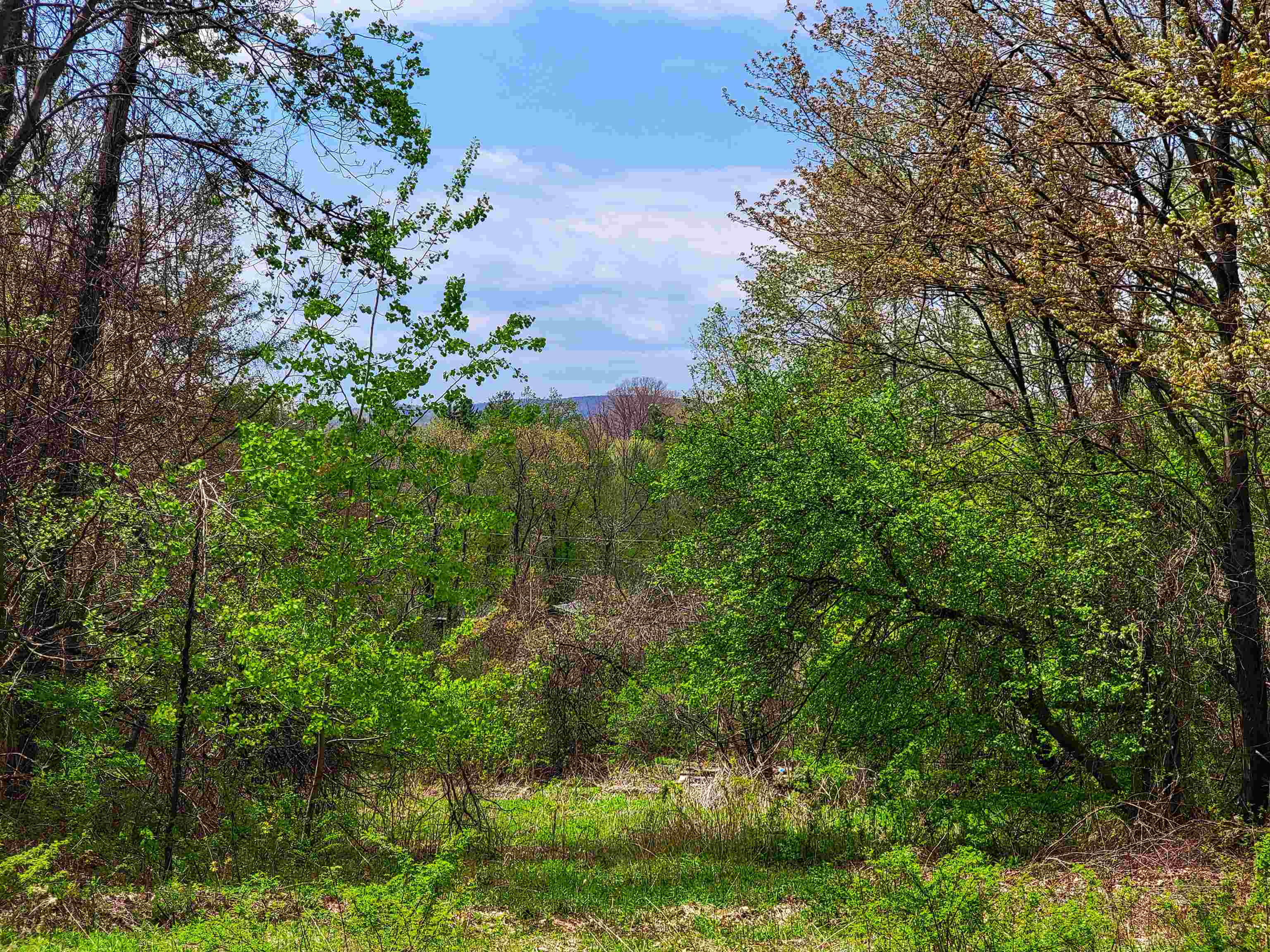 1073 Chapel Road Property Photo 18