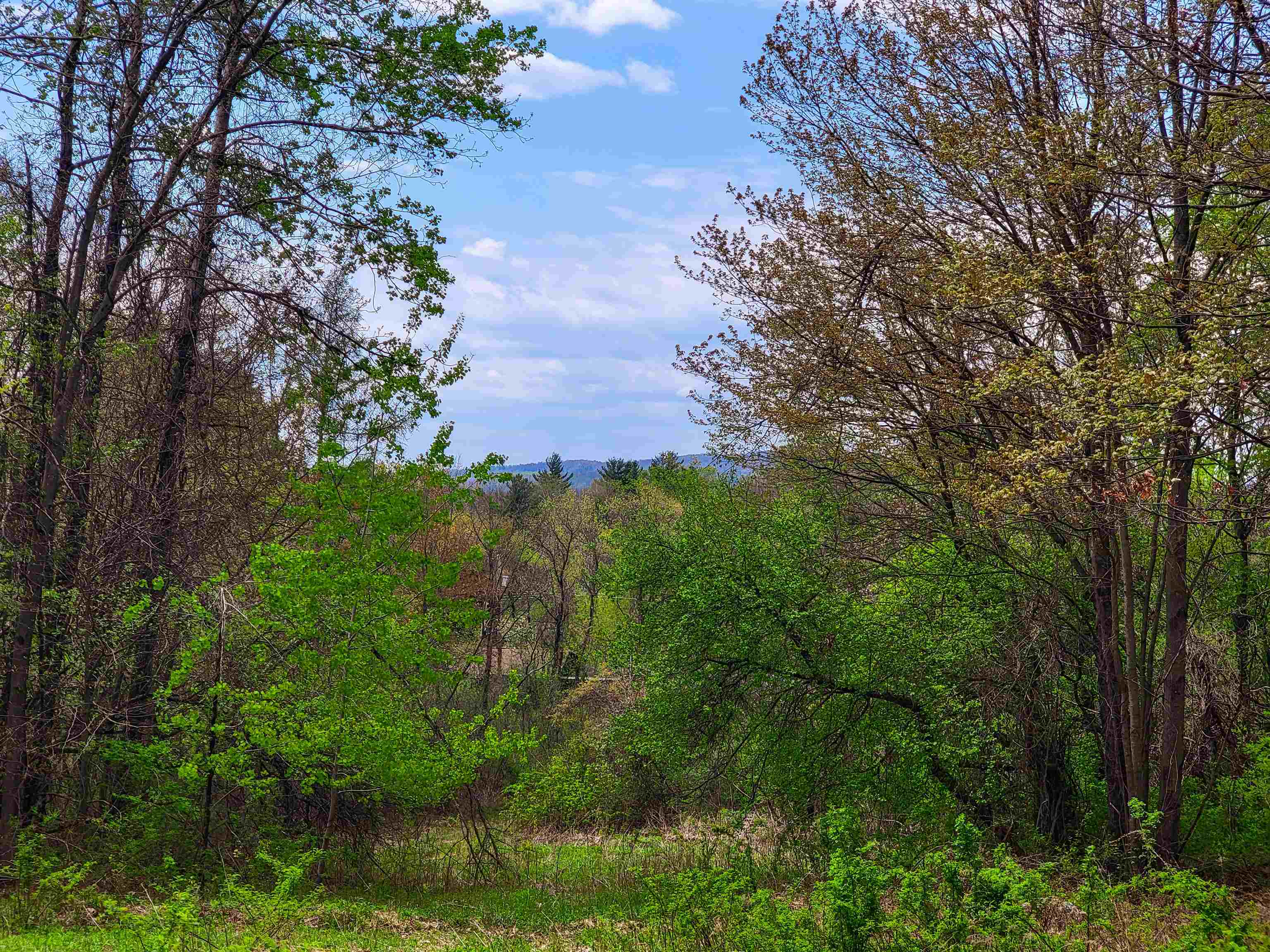 1073 Chapel Road Property Photo 19