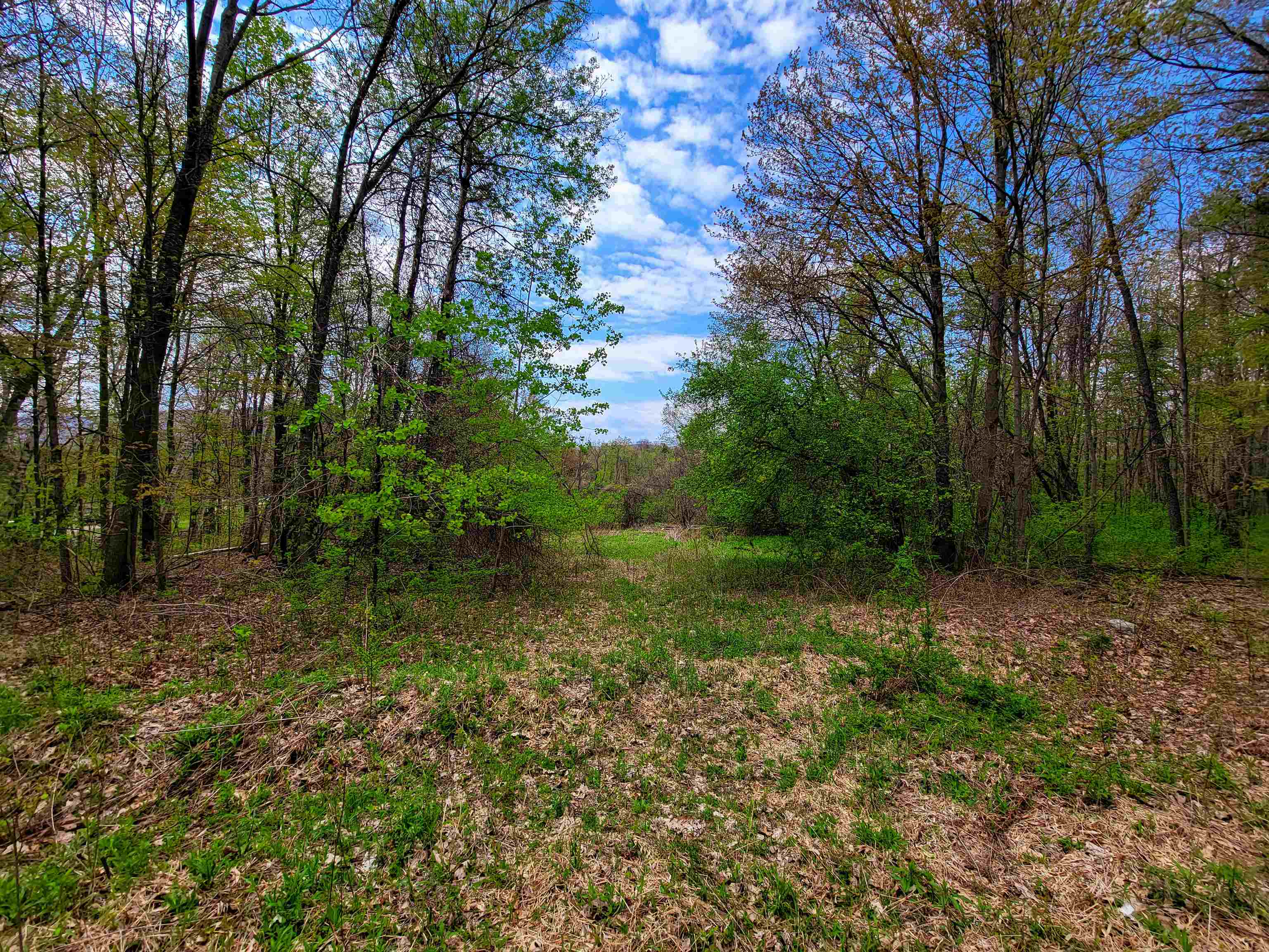 1073 Chapel Road Property Photo 20