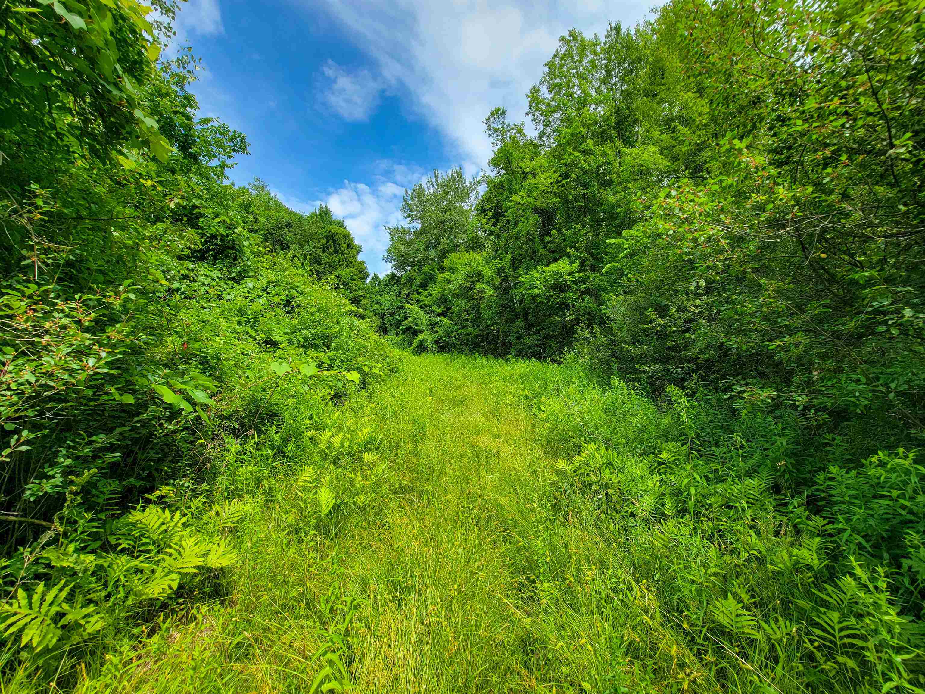 1073 Chapel Road Property Photo 21