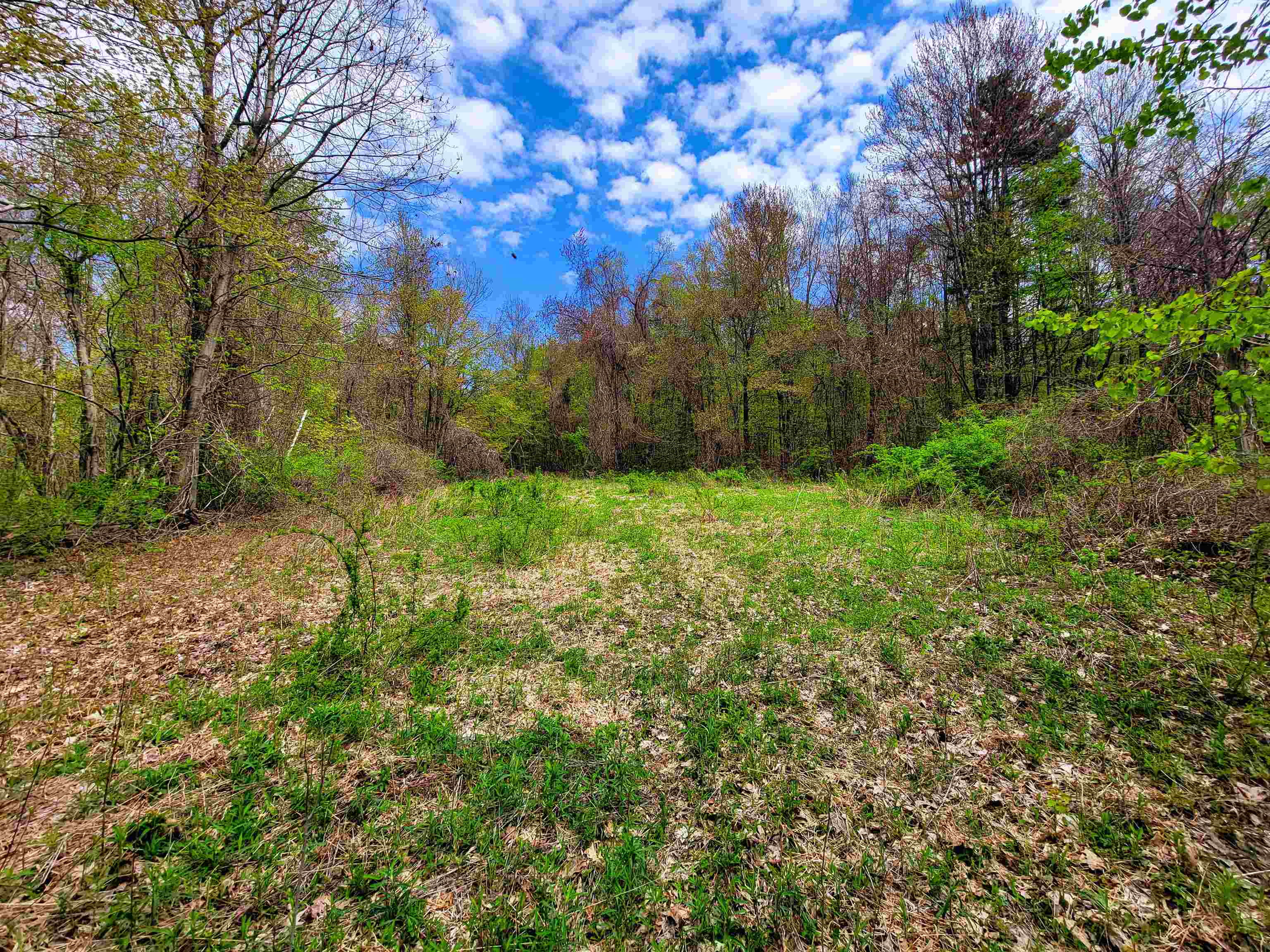 1073 Chapel Road Property Photo 23
