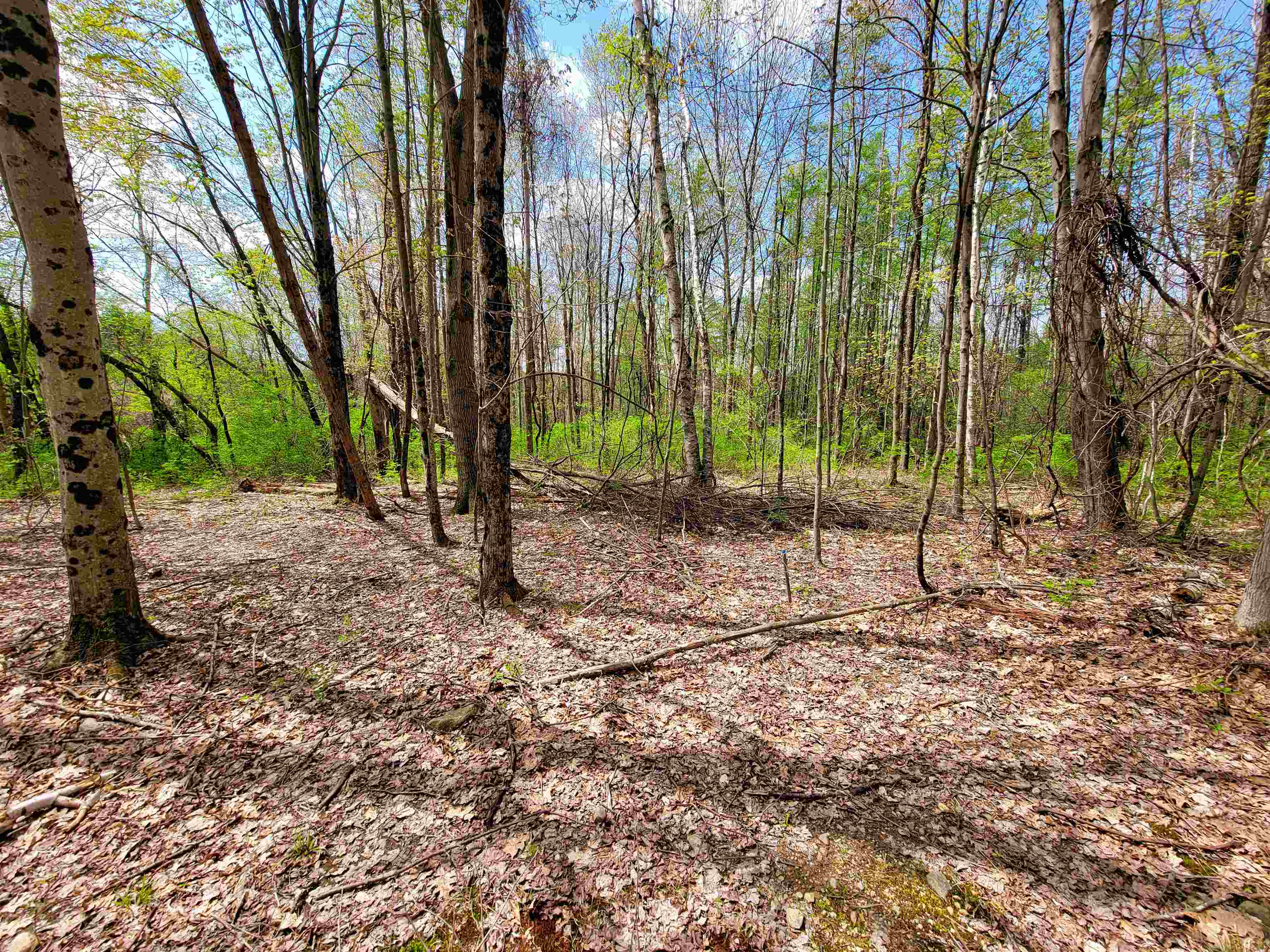 1073 Chapel Road Property Photo 26