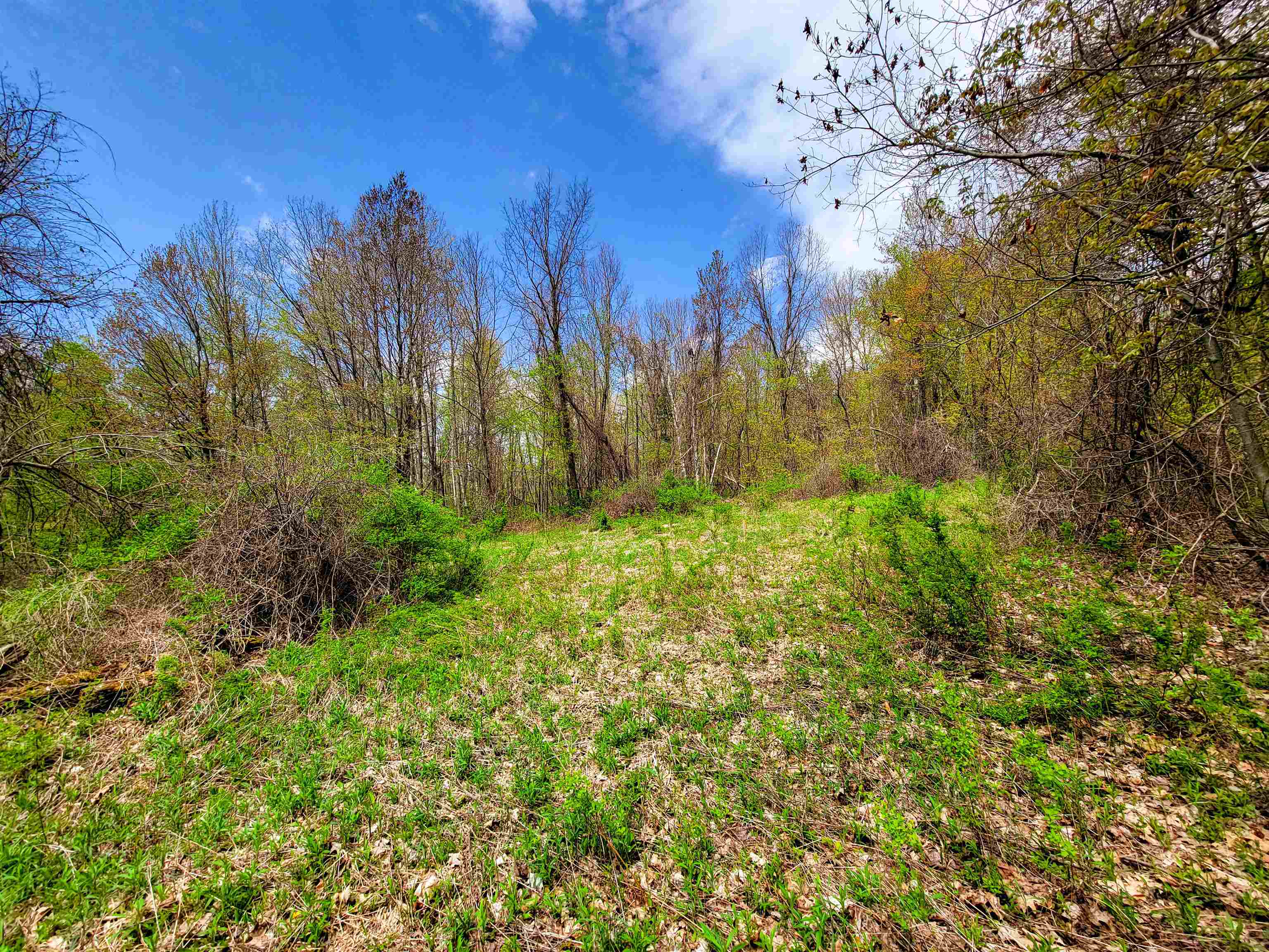 1073 Chapel Road Property Photo 29