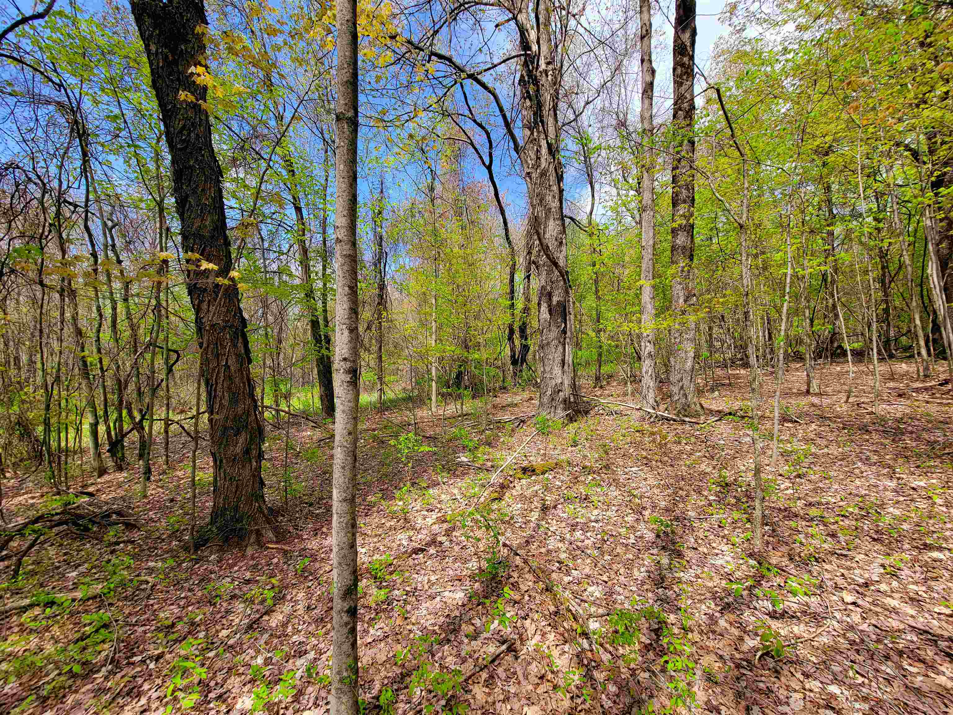 1073 Chapel Road Property Photo 32