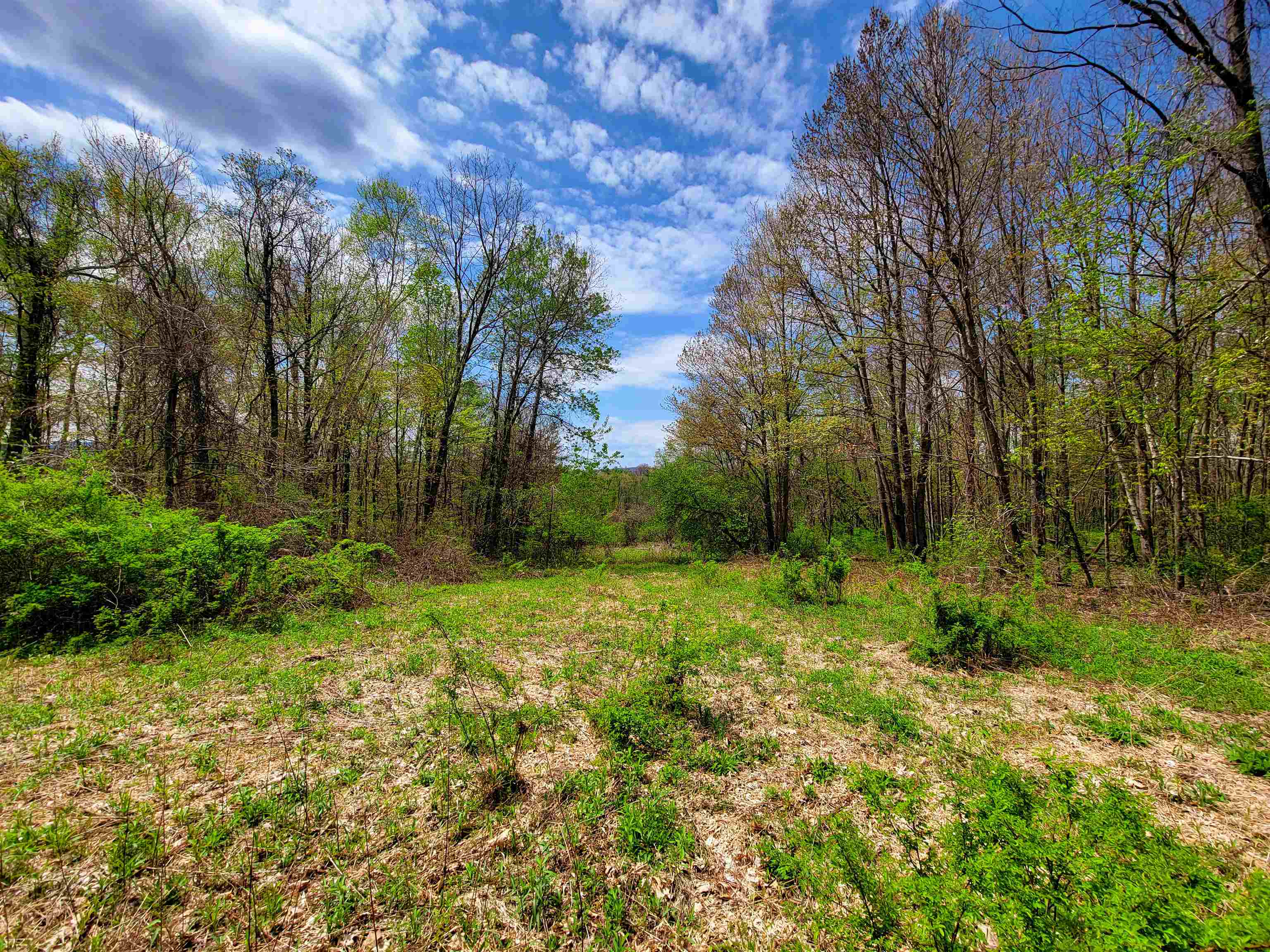1073 Chapel Road Property Photo 34