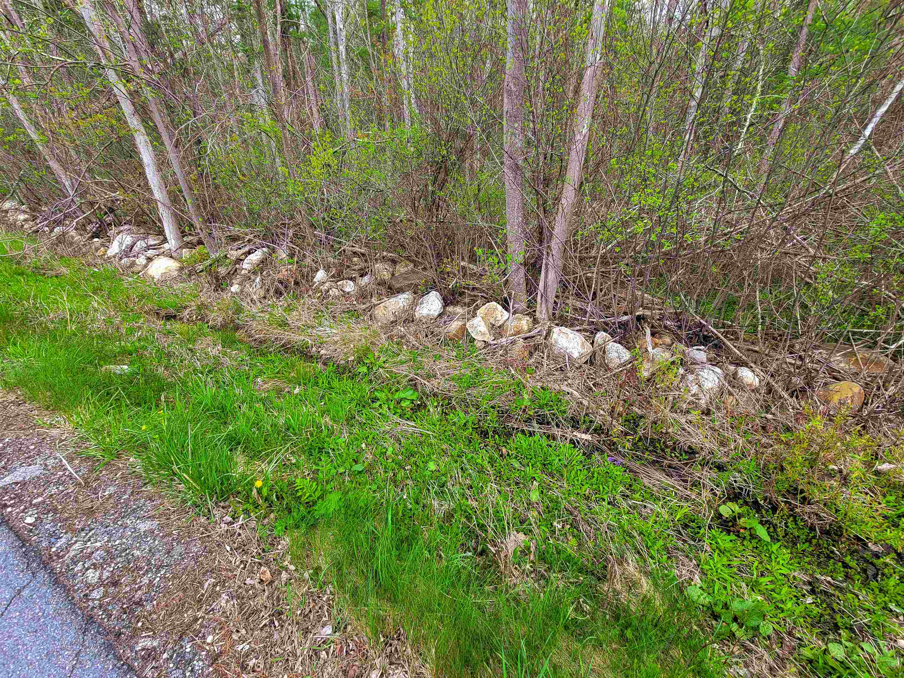 1073 Chapel Road Property Photo 43