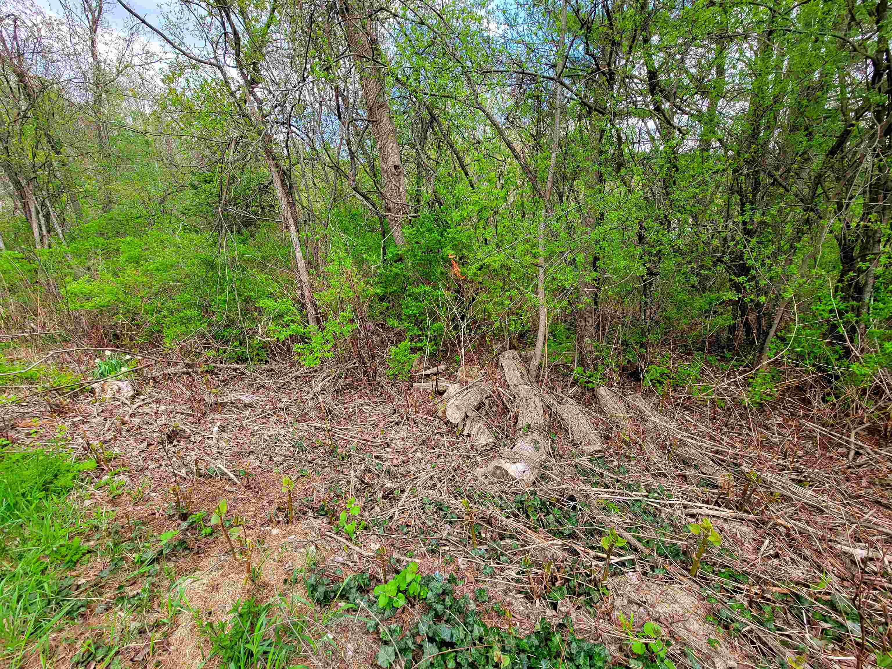 1073 Chapel Road Property Photo 44