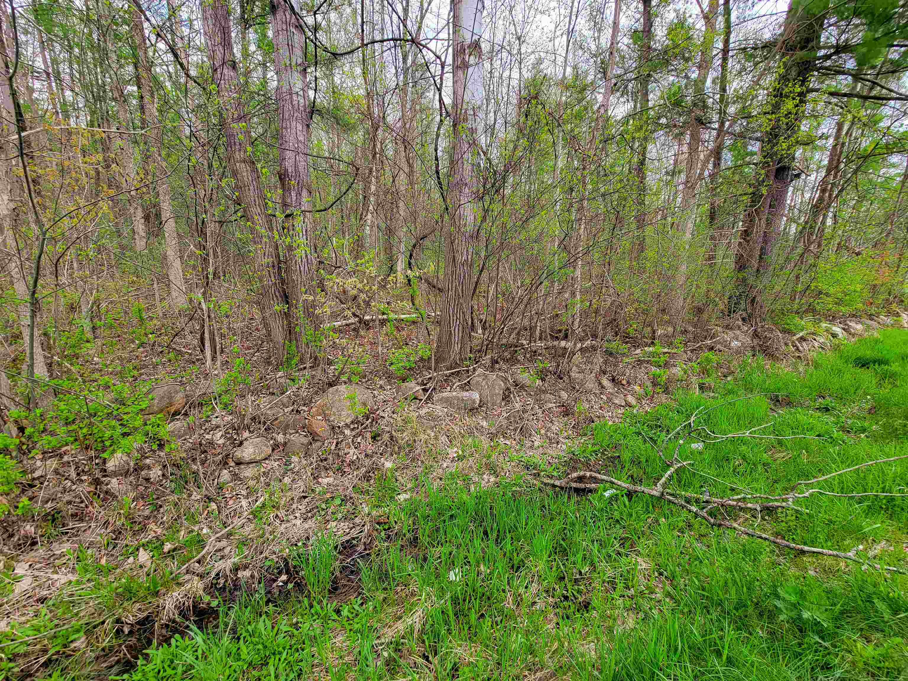 1073 Chapel Road Property Photo 46