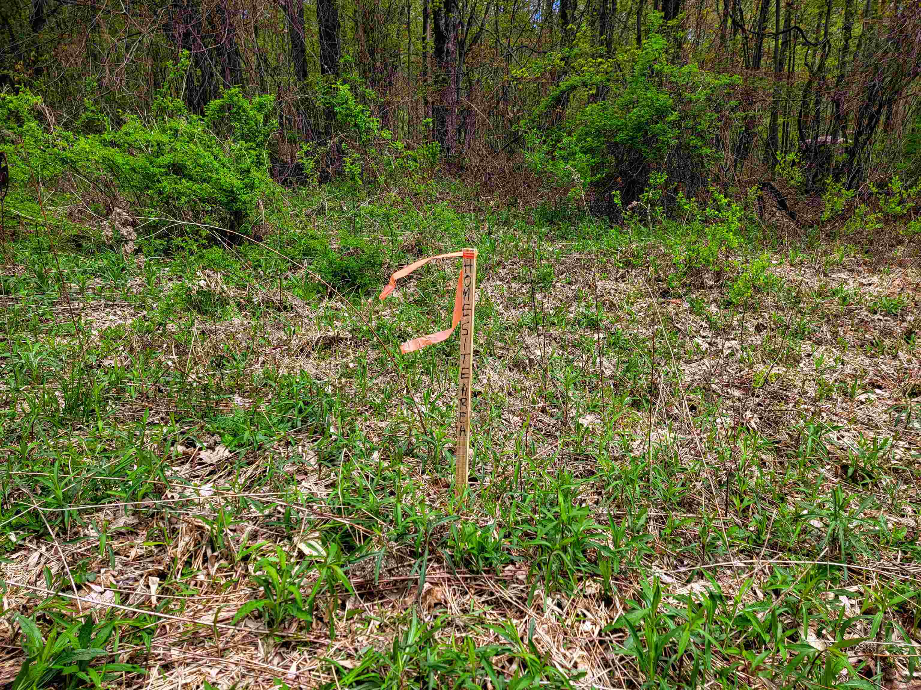 1073 Chapel Road Property Photo 47