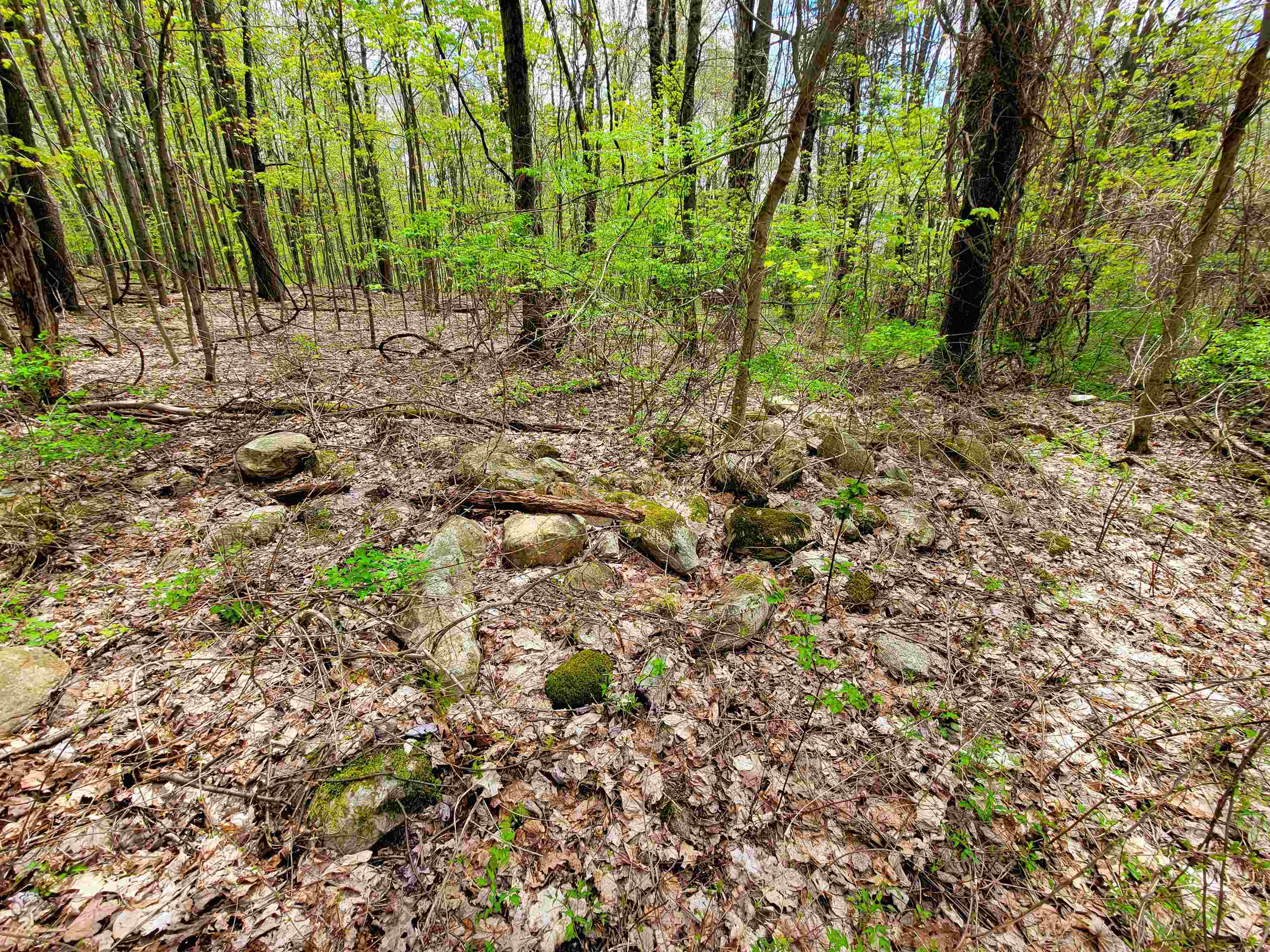 1073 Chapel Road Property Photo 48