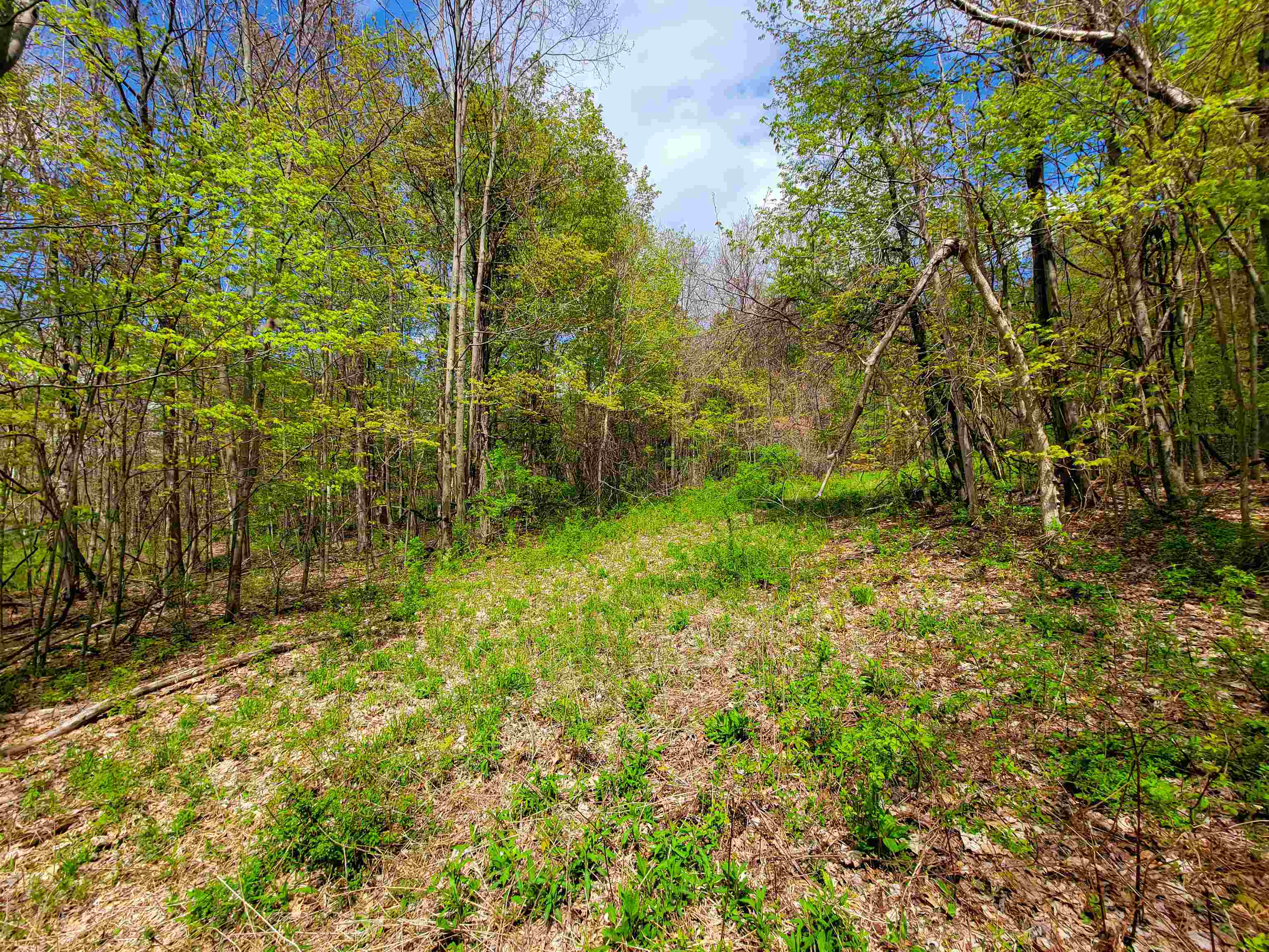 1073 Chapel Road Property Photo 49
