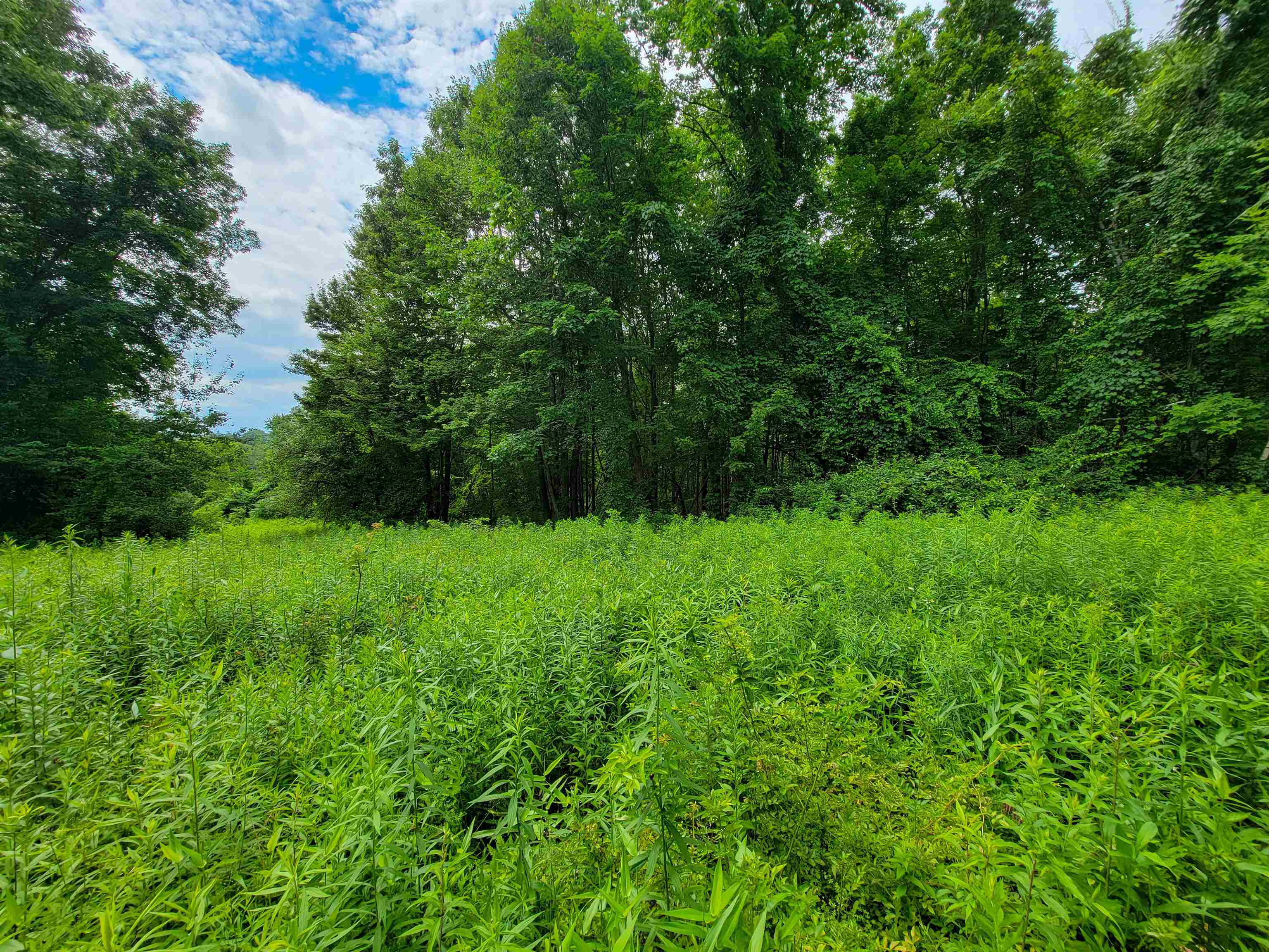 1073 Chapel Road Property Photo 58