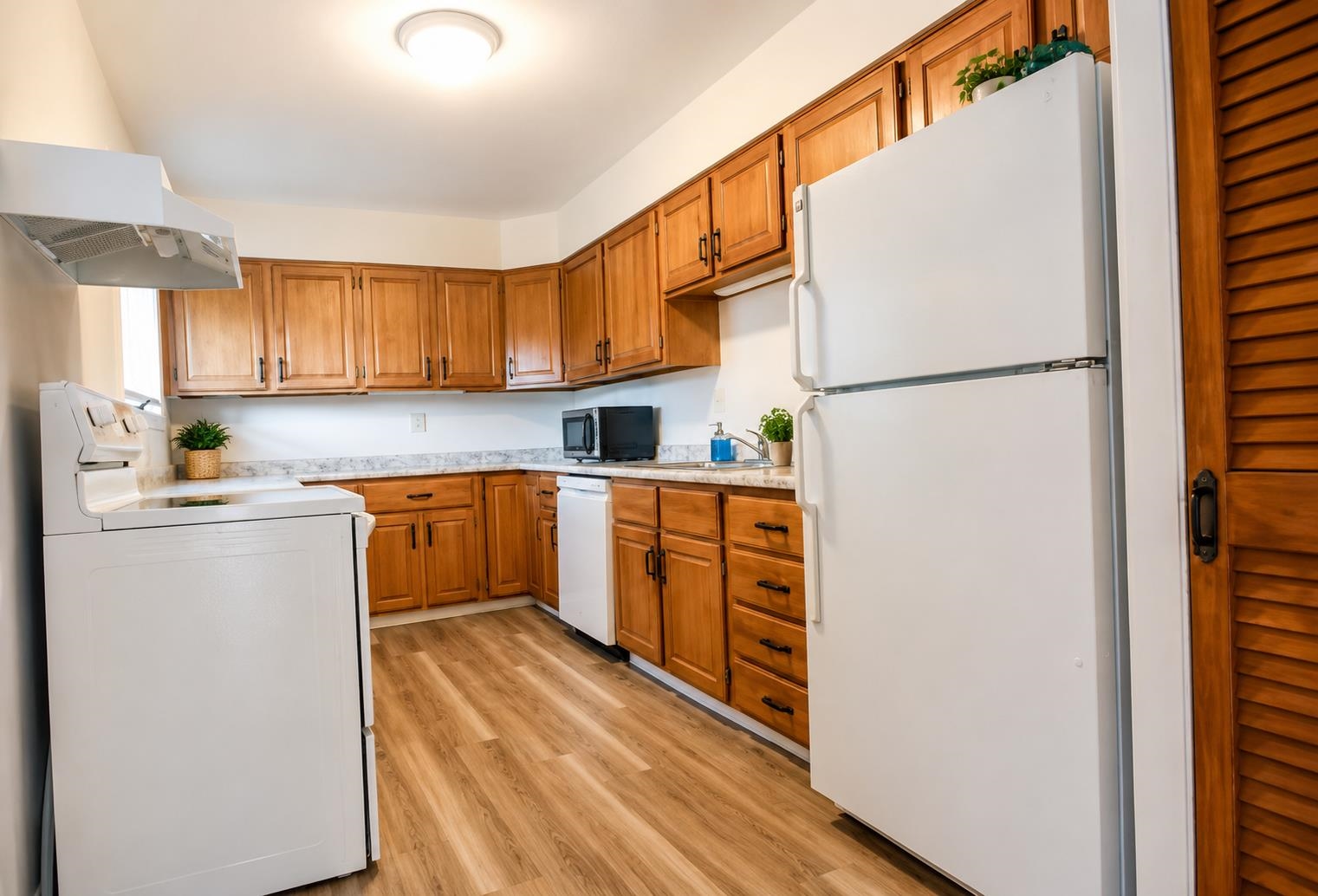 2 Kirk Street Property Photo 9