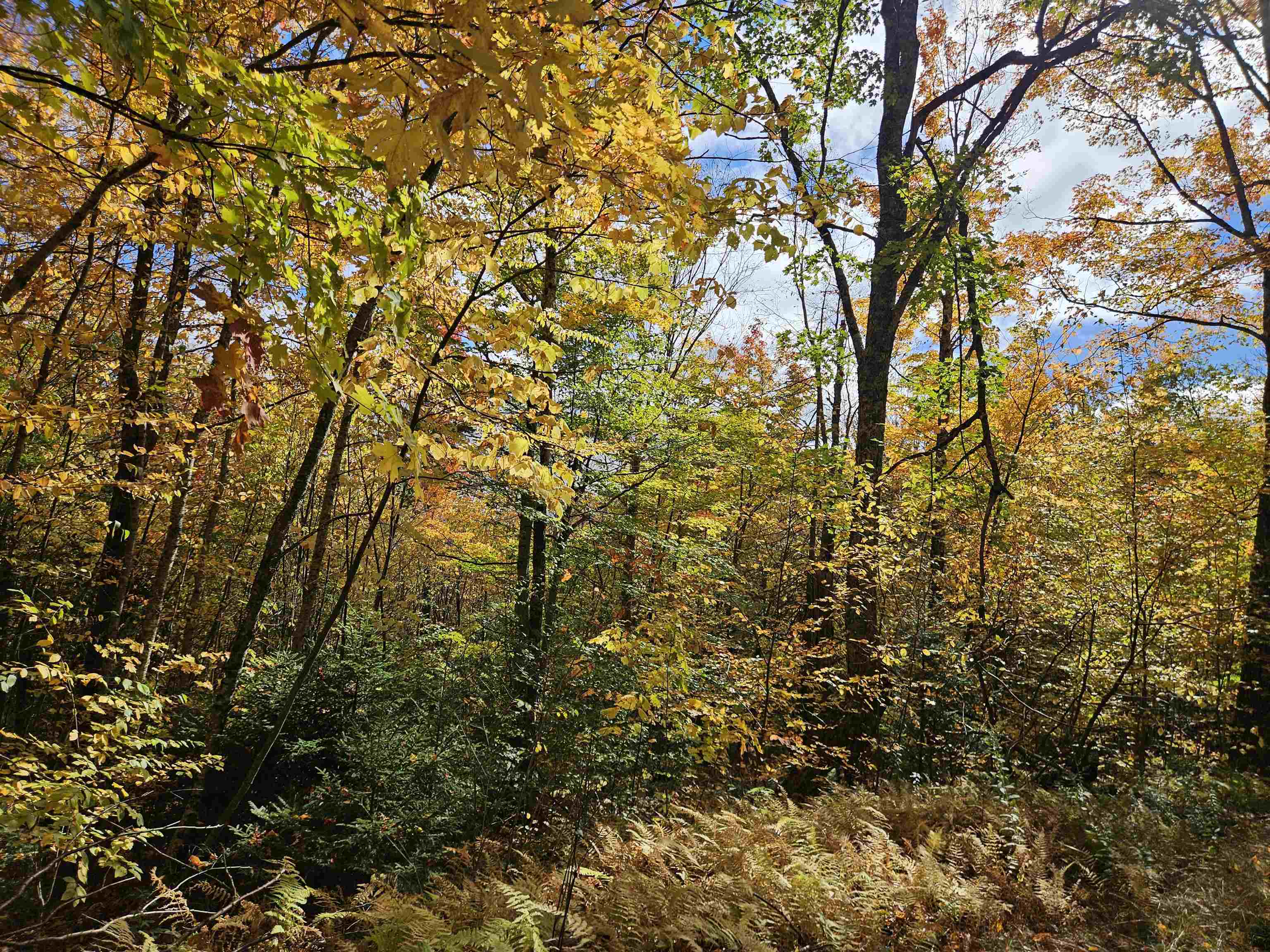Lot 26 Presidential View Lane Property Photo 1