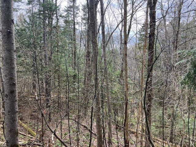 123 High Top Road Property Photo 1