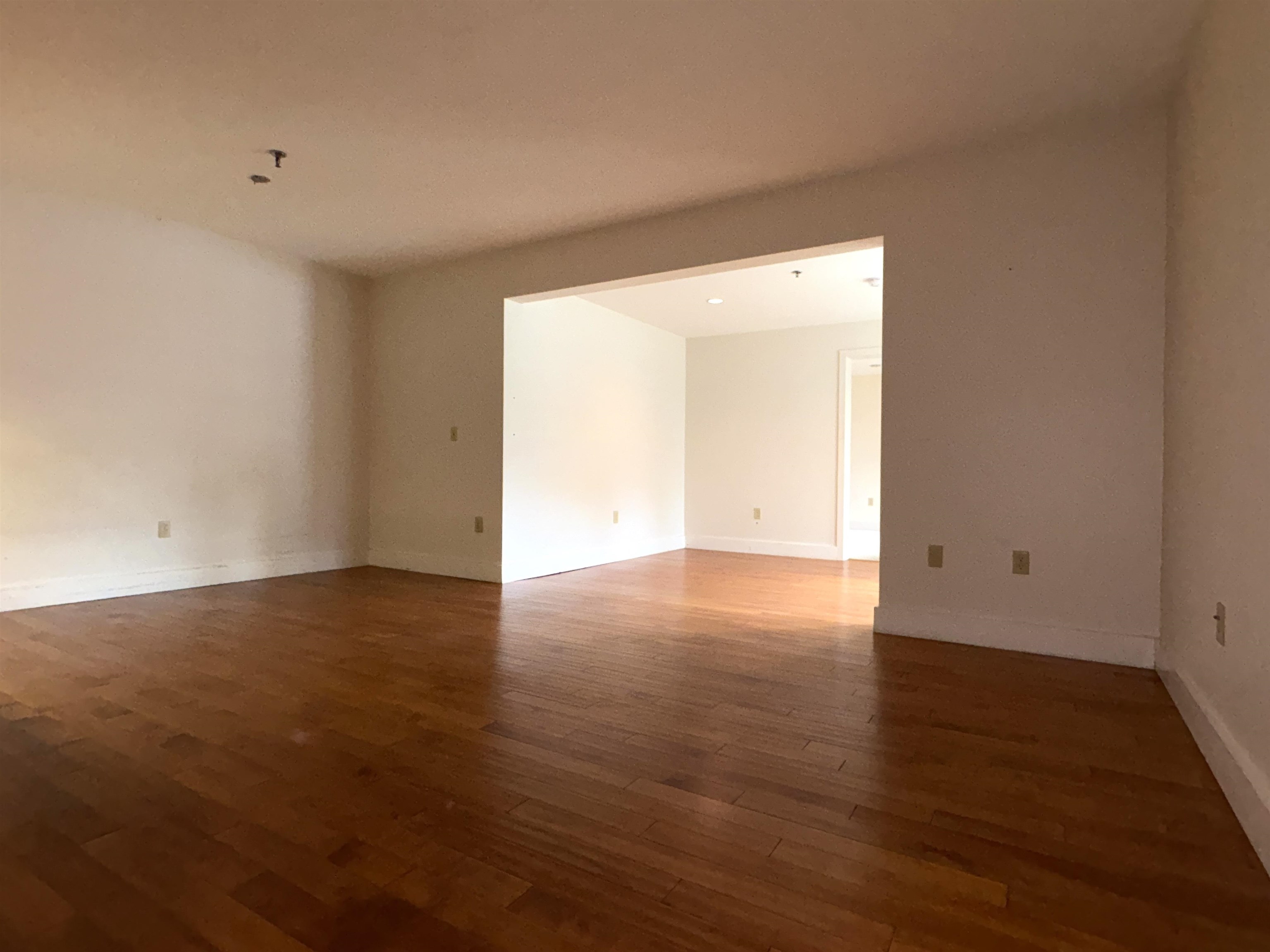53 Lyme Road Property Photo 8