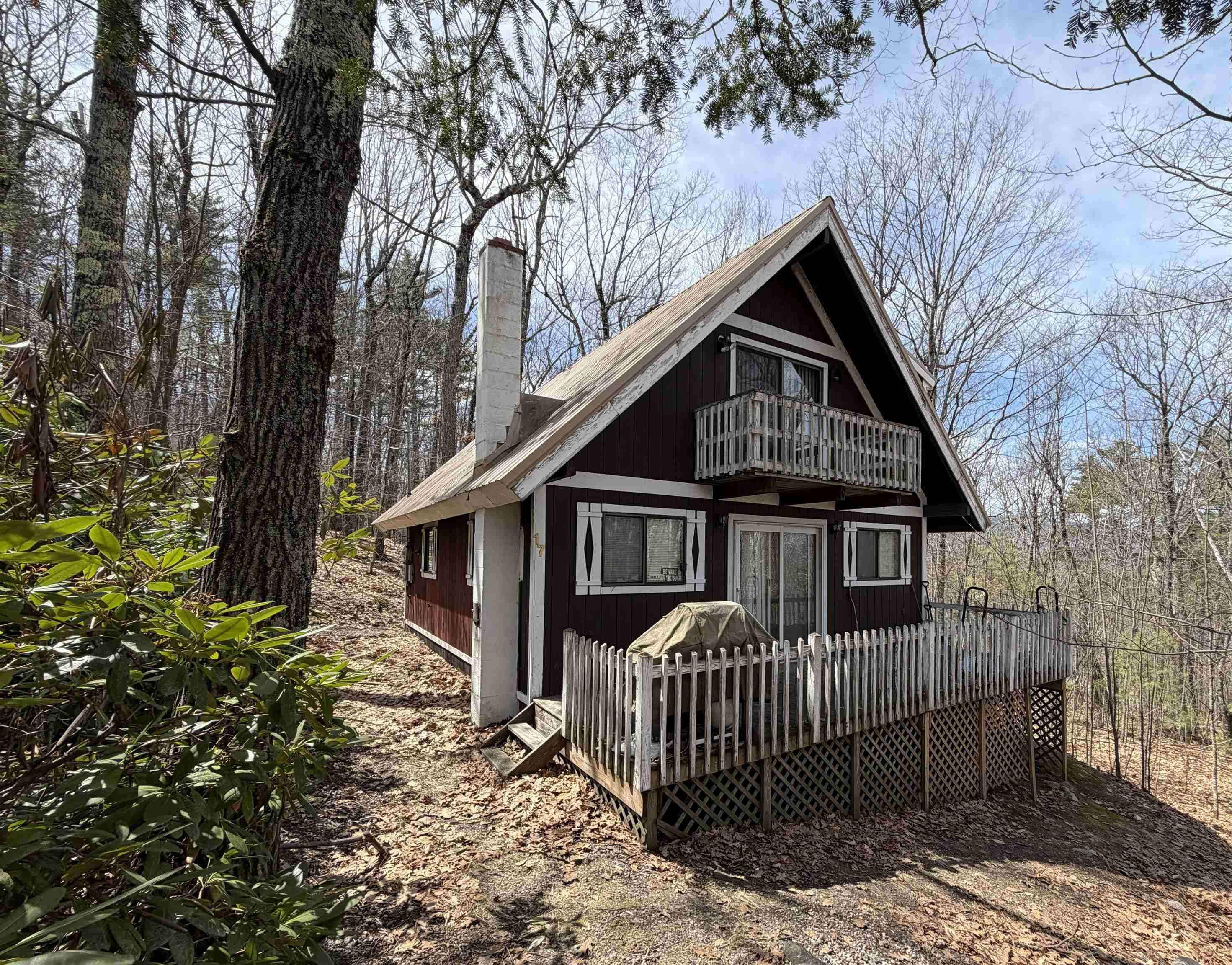 17 Klausen Road Property Photo 1