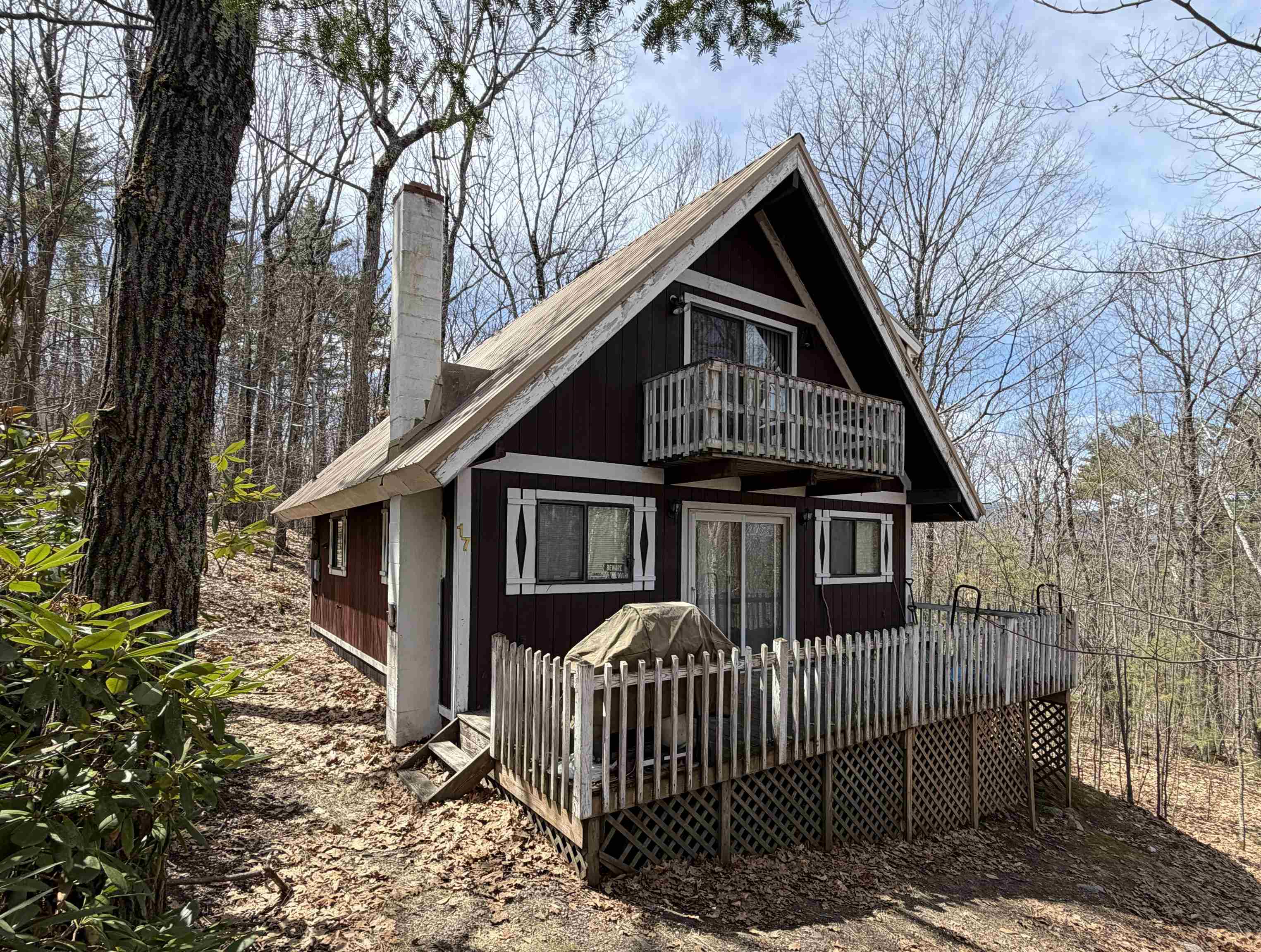 17 Klausen Road Property Photo 2