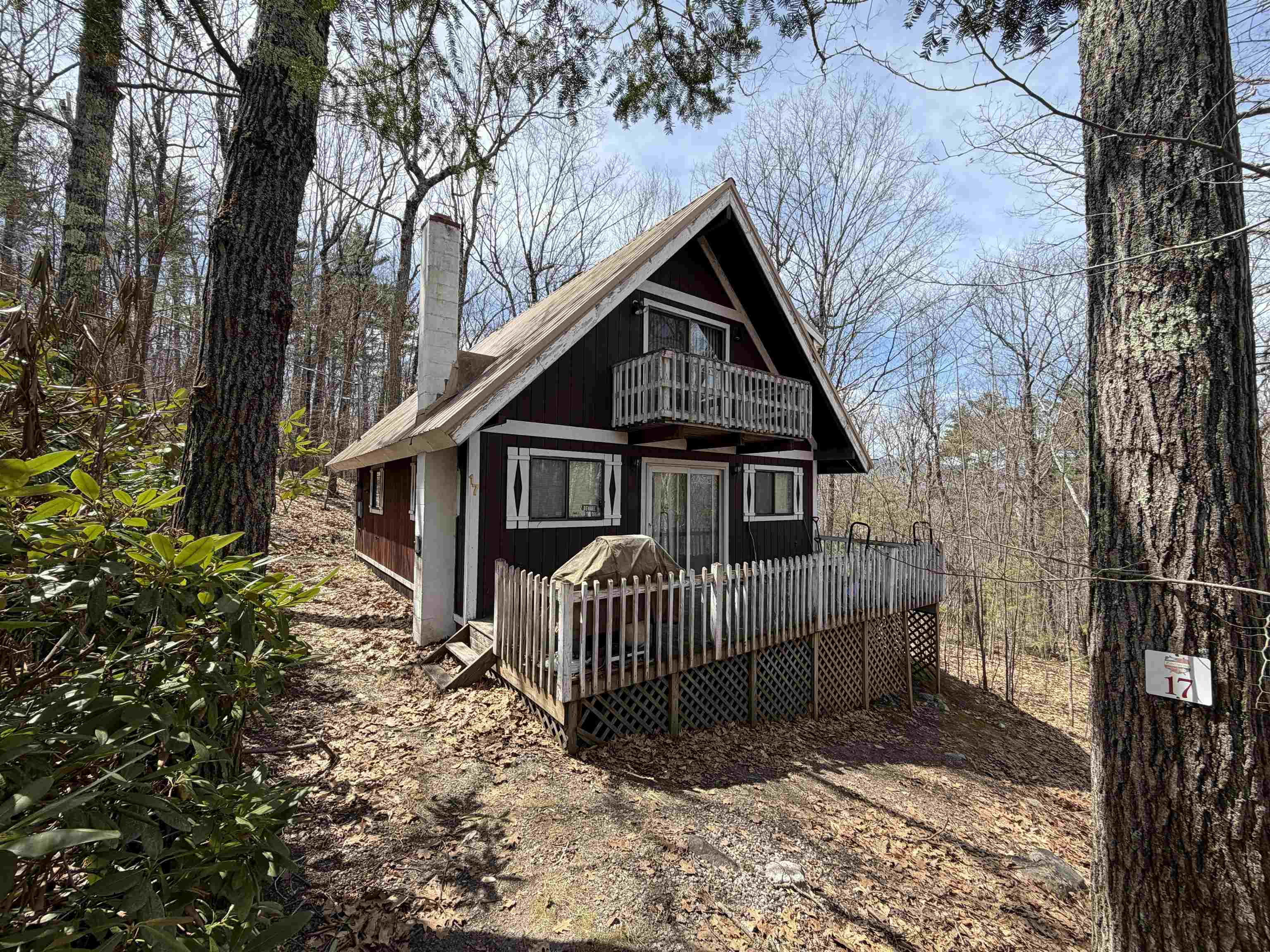17 Klausen Road Property Photo 3