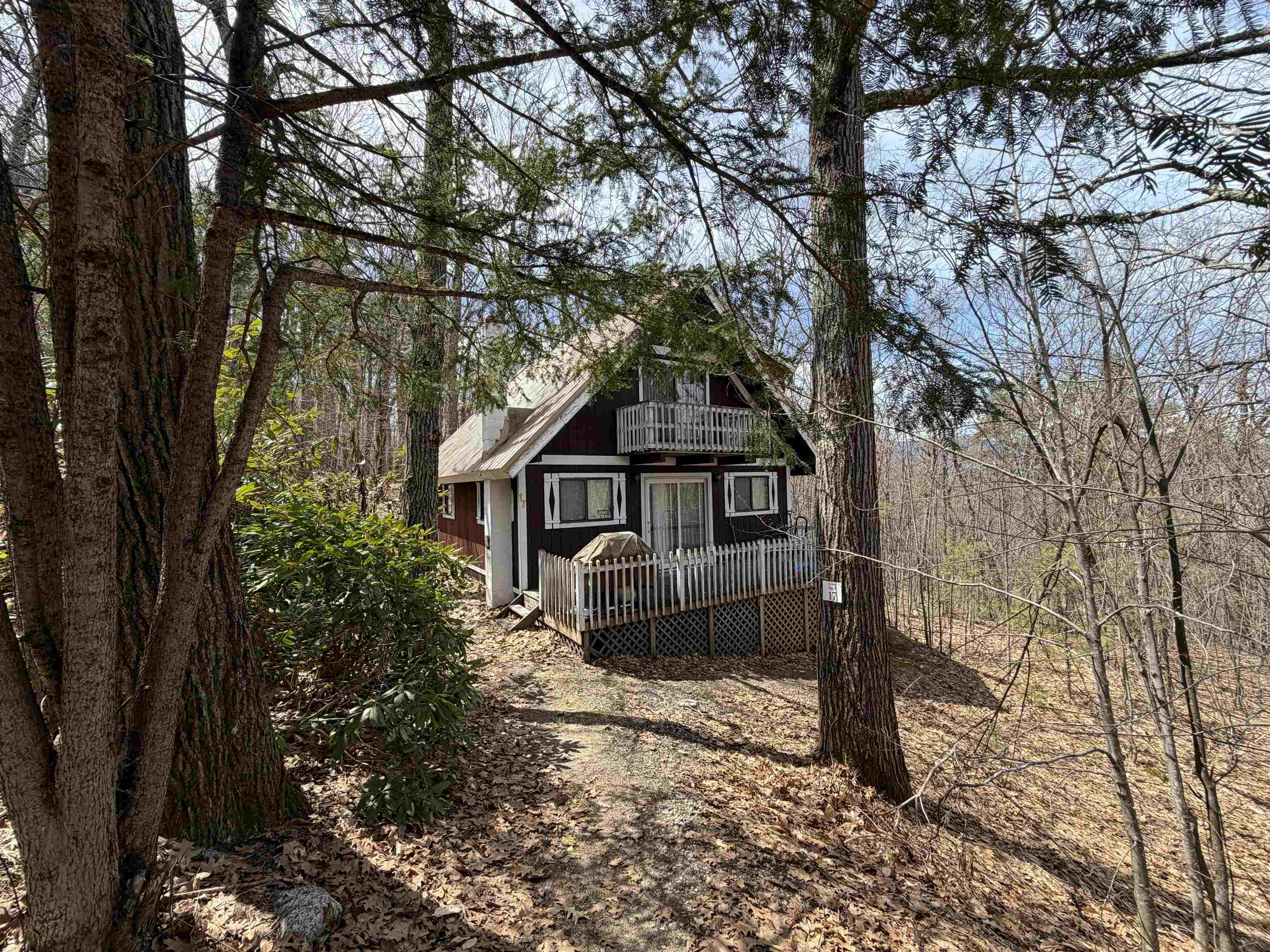 17 Klausen Road Property Photo 4