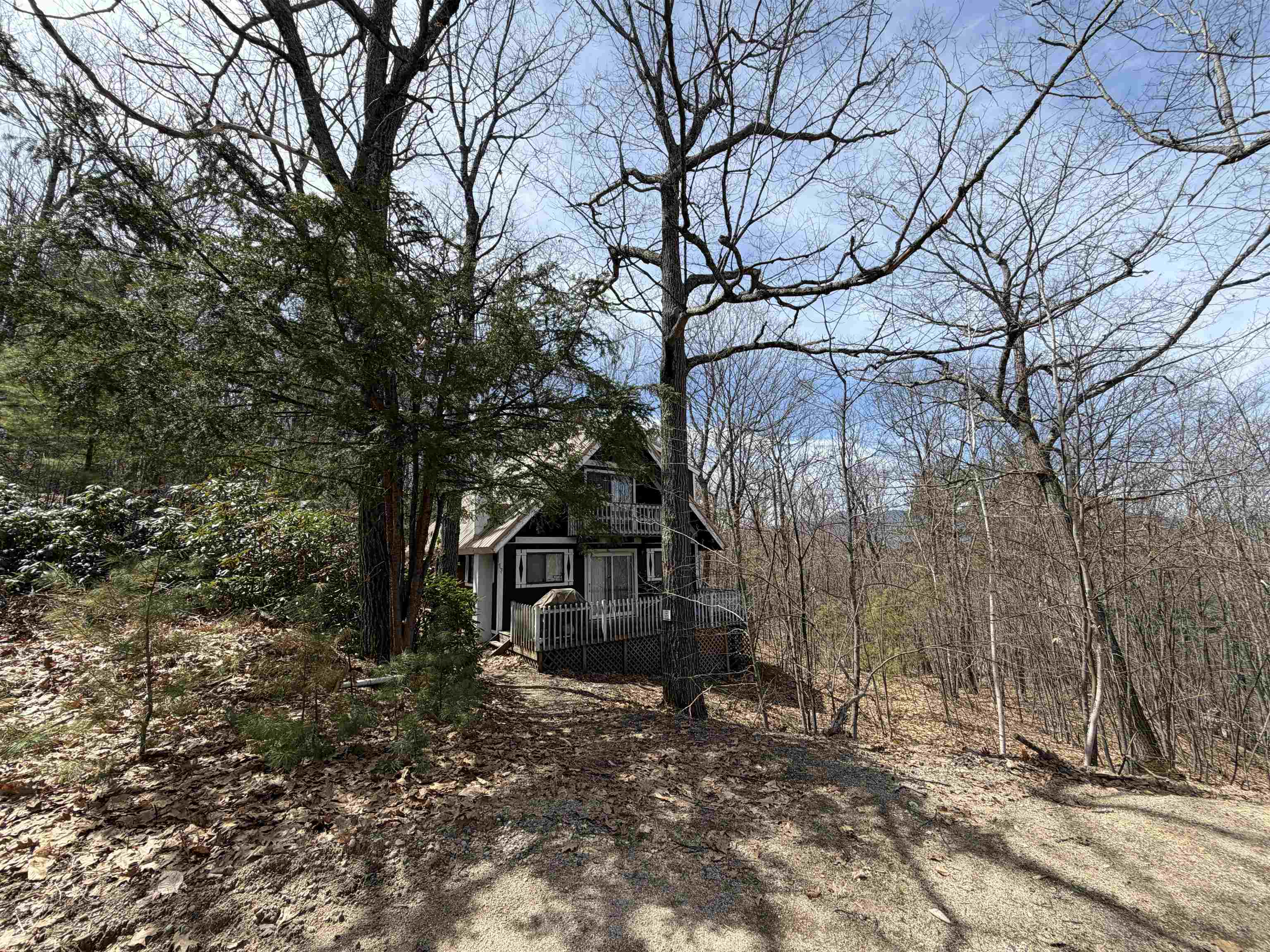 17 Klausen Road Property Photo 25