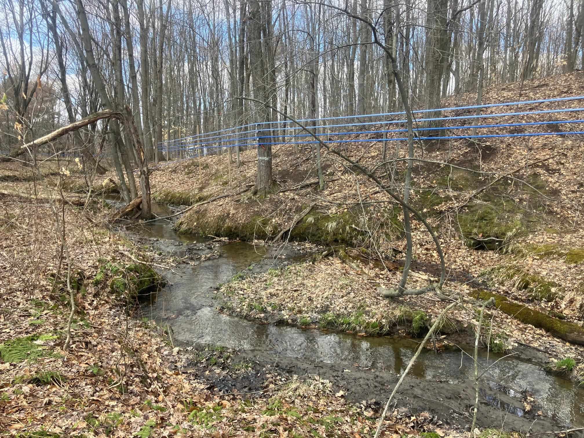 74 Jedware Circle Property Photo 13