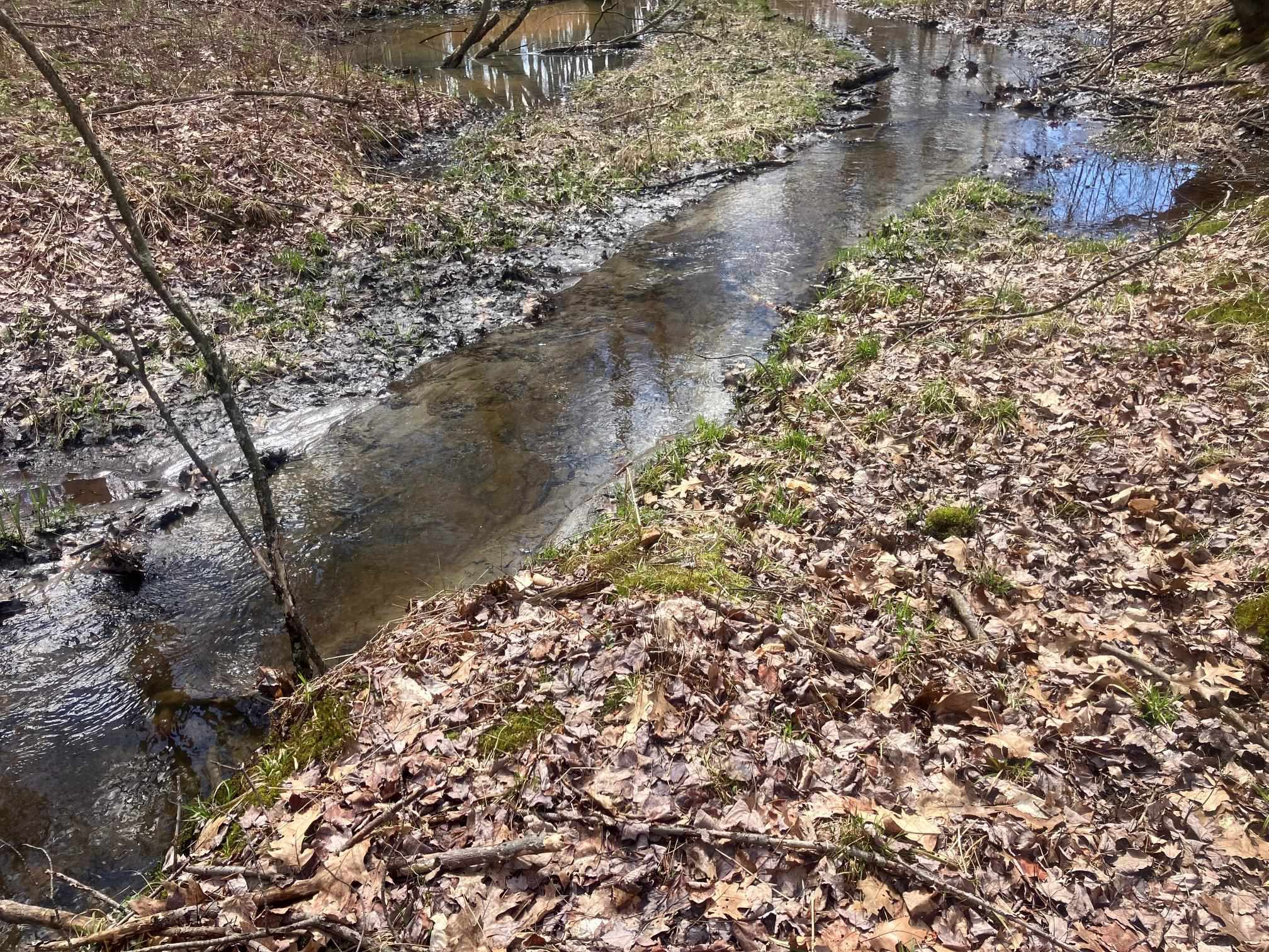 74 Jedware Circle Property Photo 14