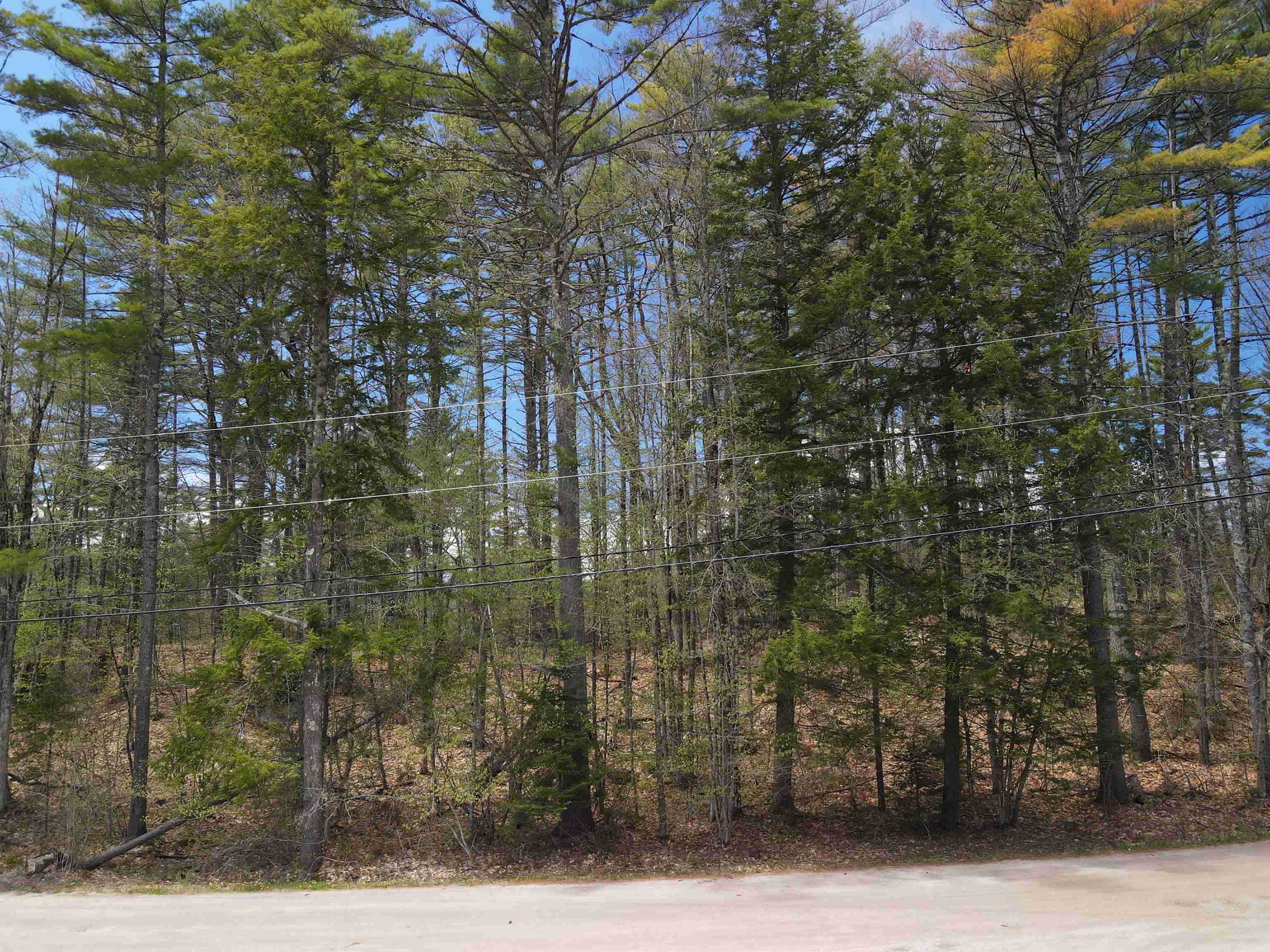 12 Eidelweiss Drive Property Photo 1