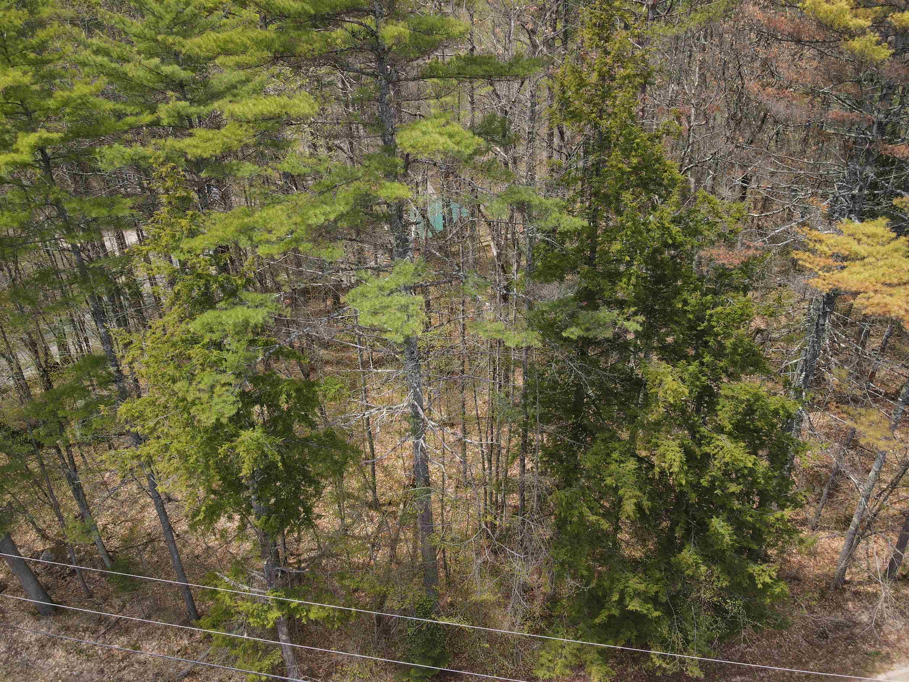 12 Eidelweiss Drive Property Photo 2