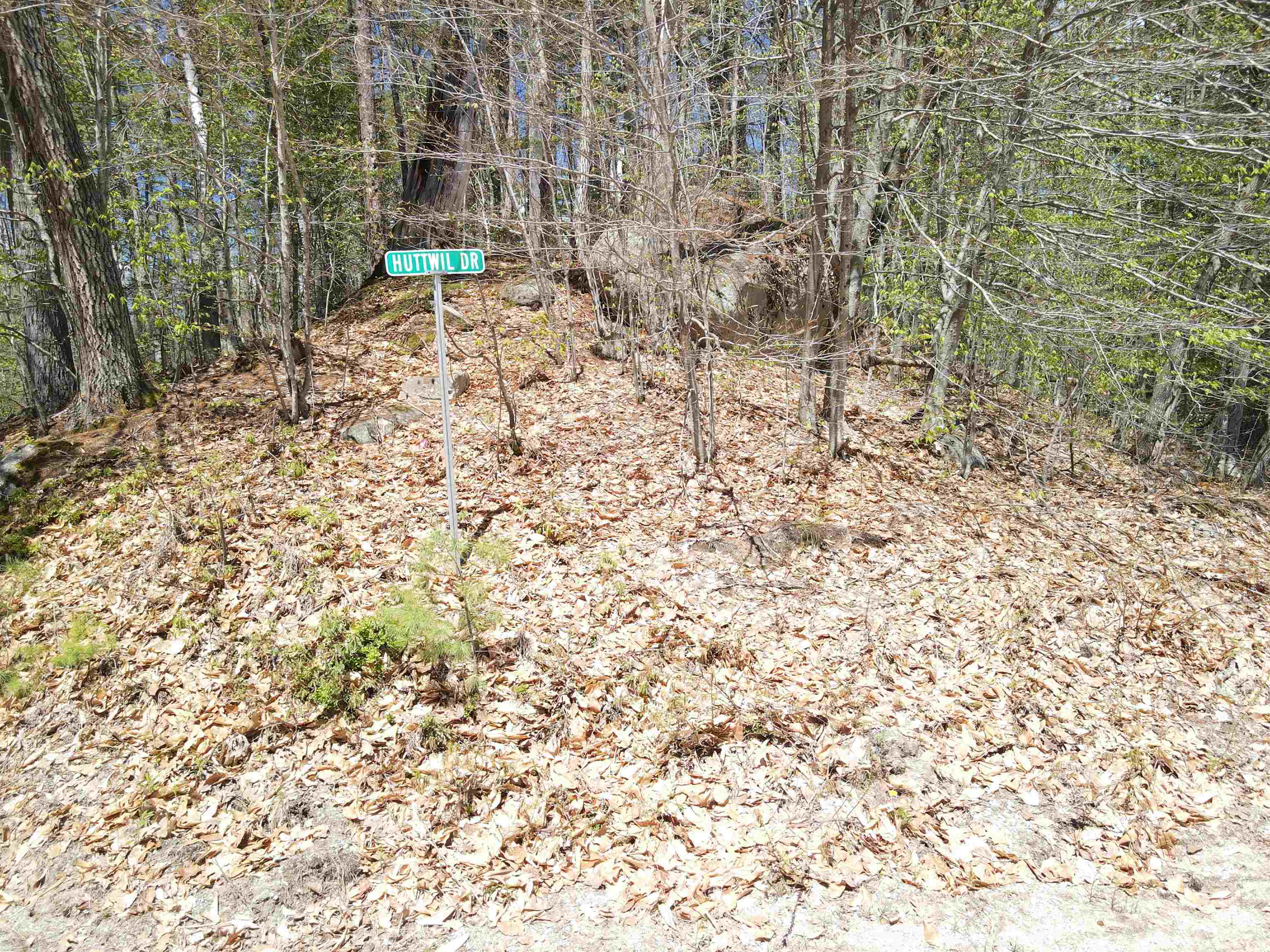 12 Eidelweiss Drive Property Photo 5