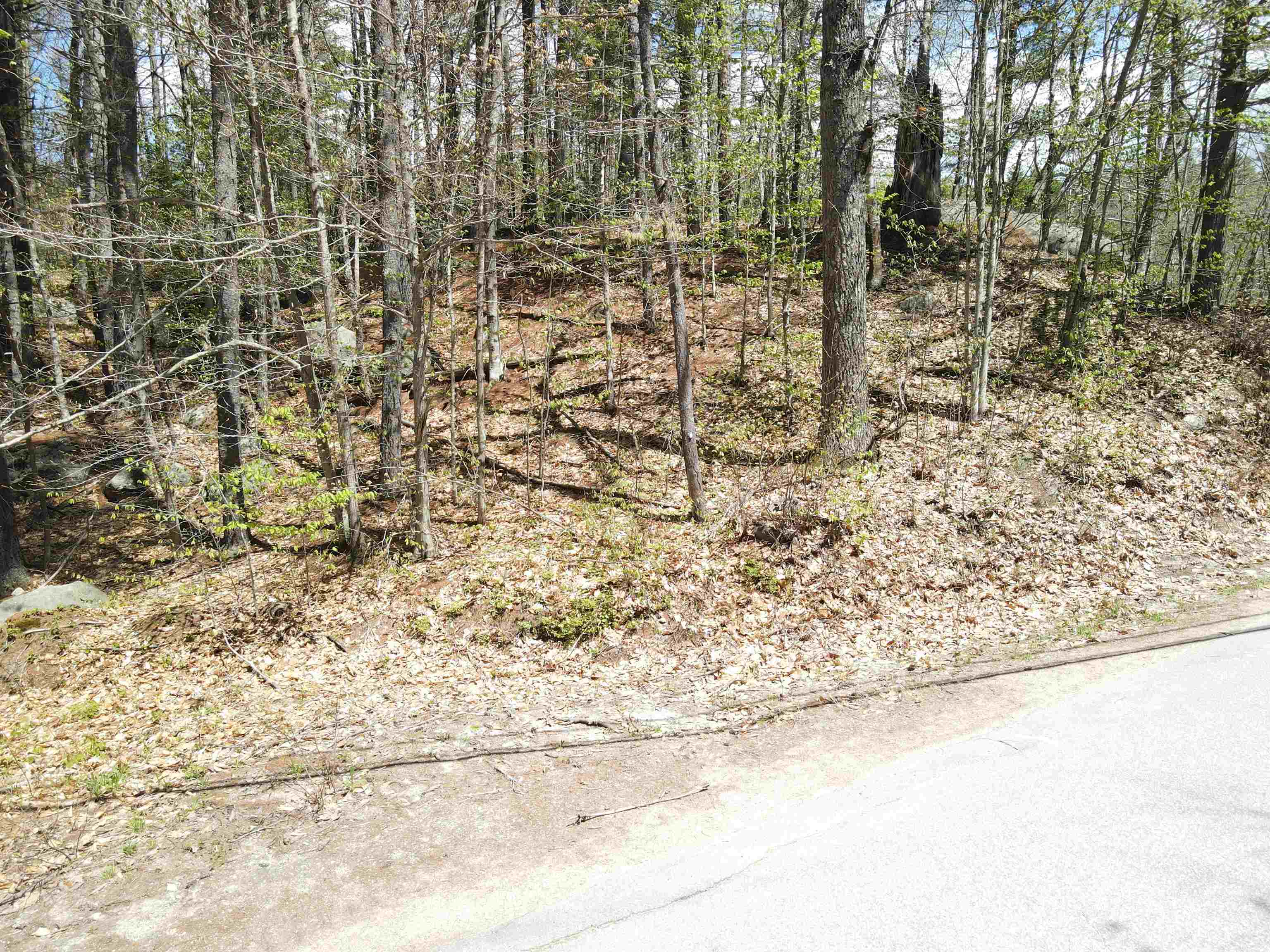 12 Eidelweiss Drive Property Photo 8