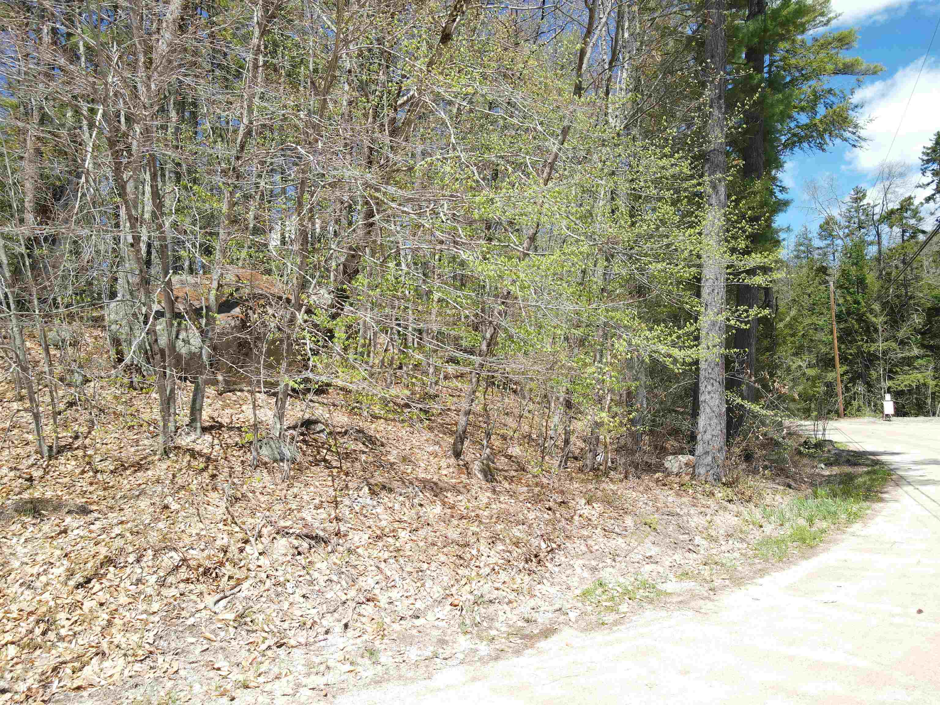 12 Eidelweiss Drive Property Photo 10
