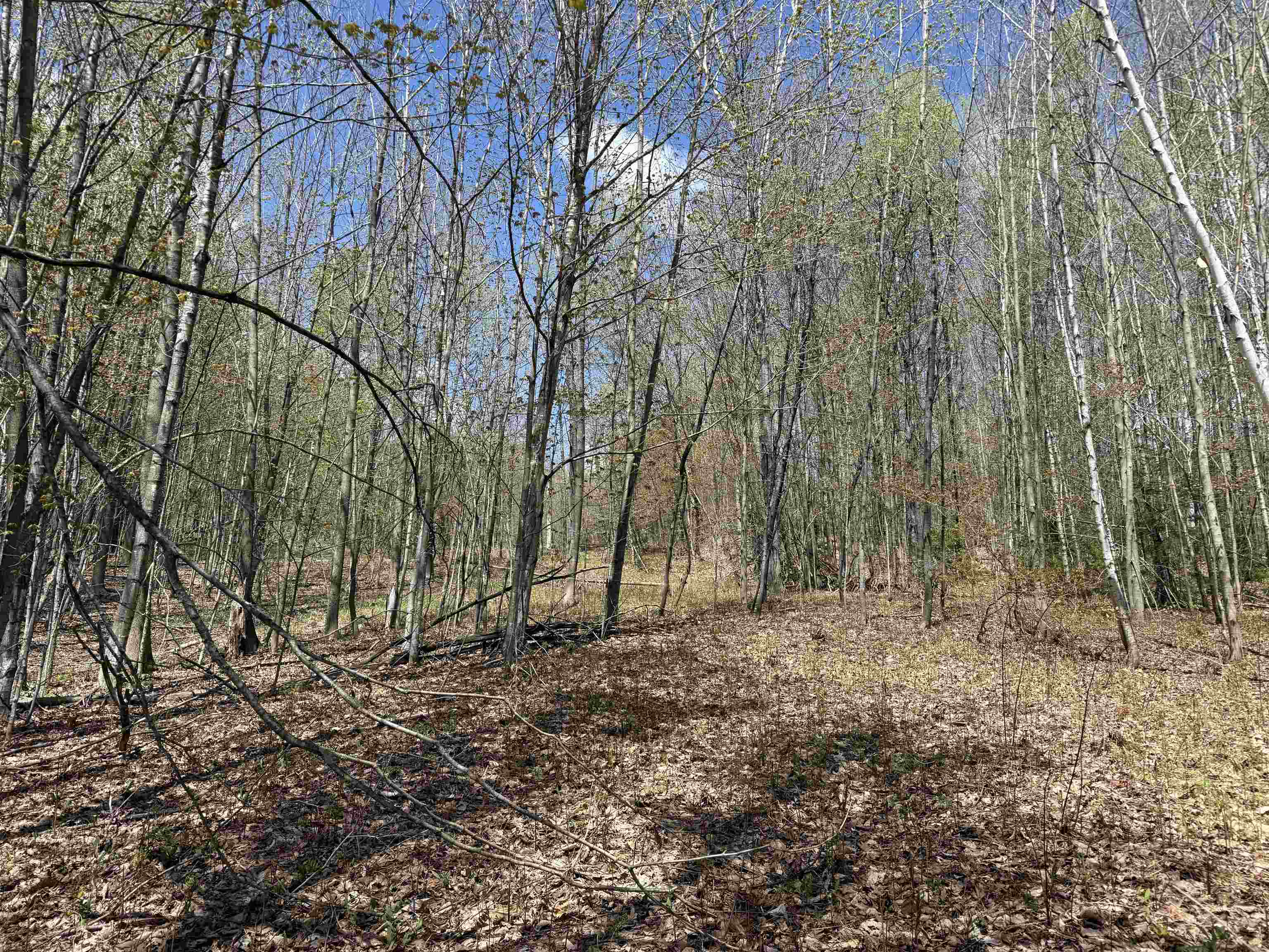 2527 Bent Hill Road Property Photo 7