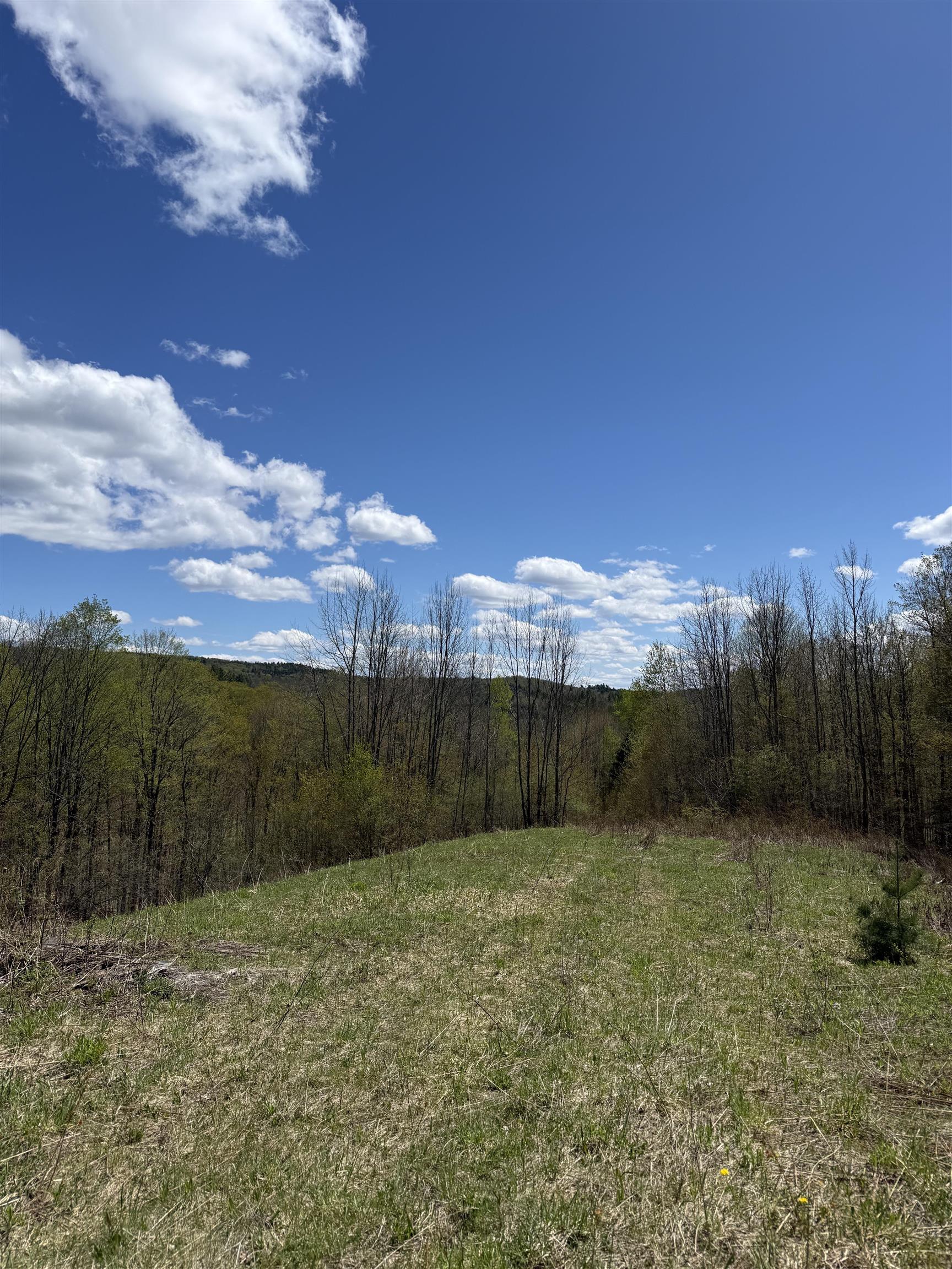 2527 Bent Hill Road Property Photo 9