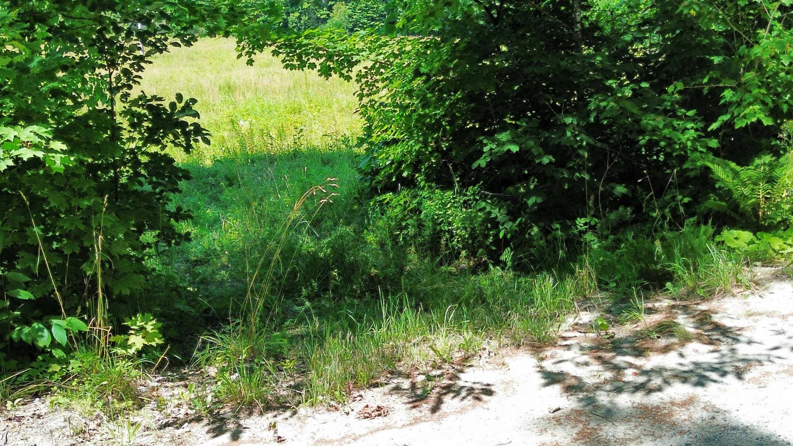 00-b Fuller Road Property Photo 24