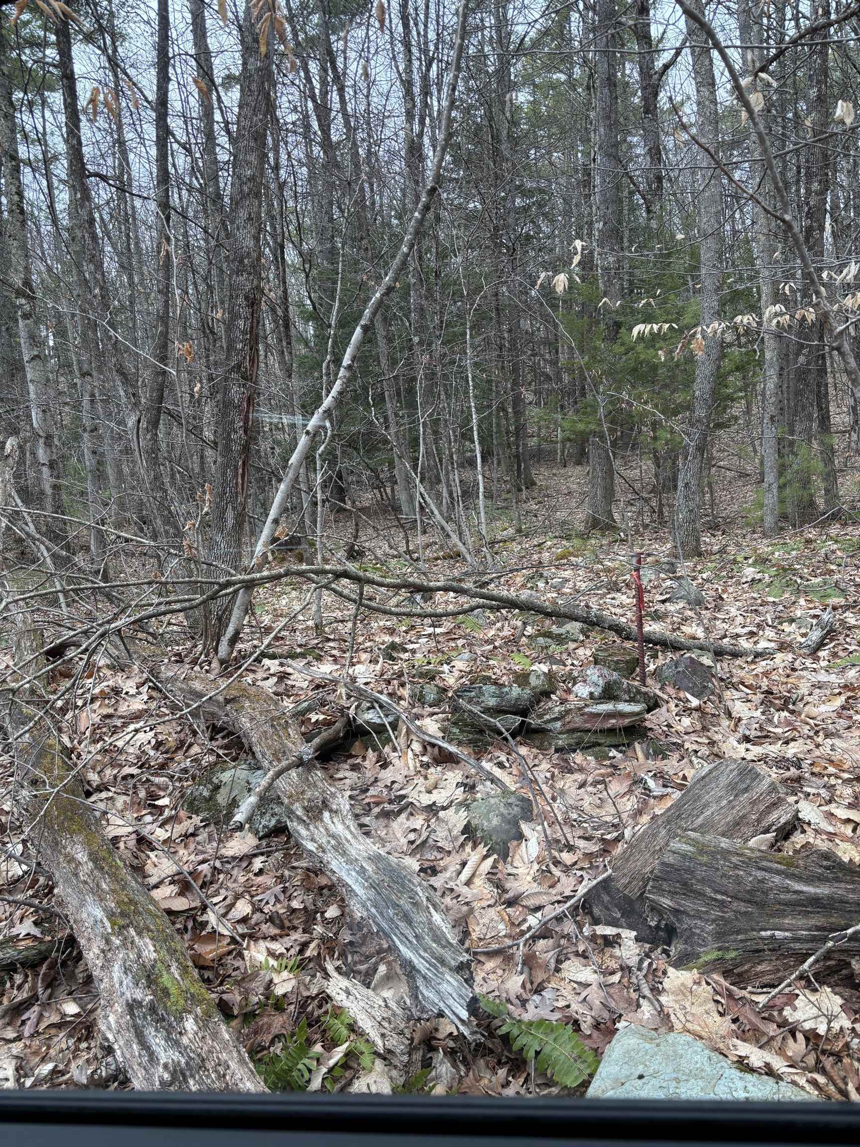 00 Coon Hill Road Property Photo 1