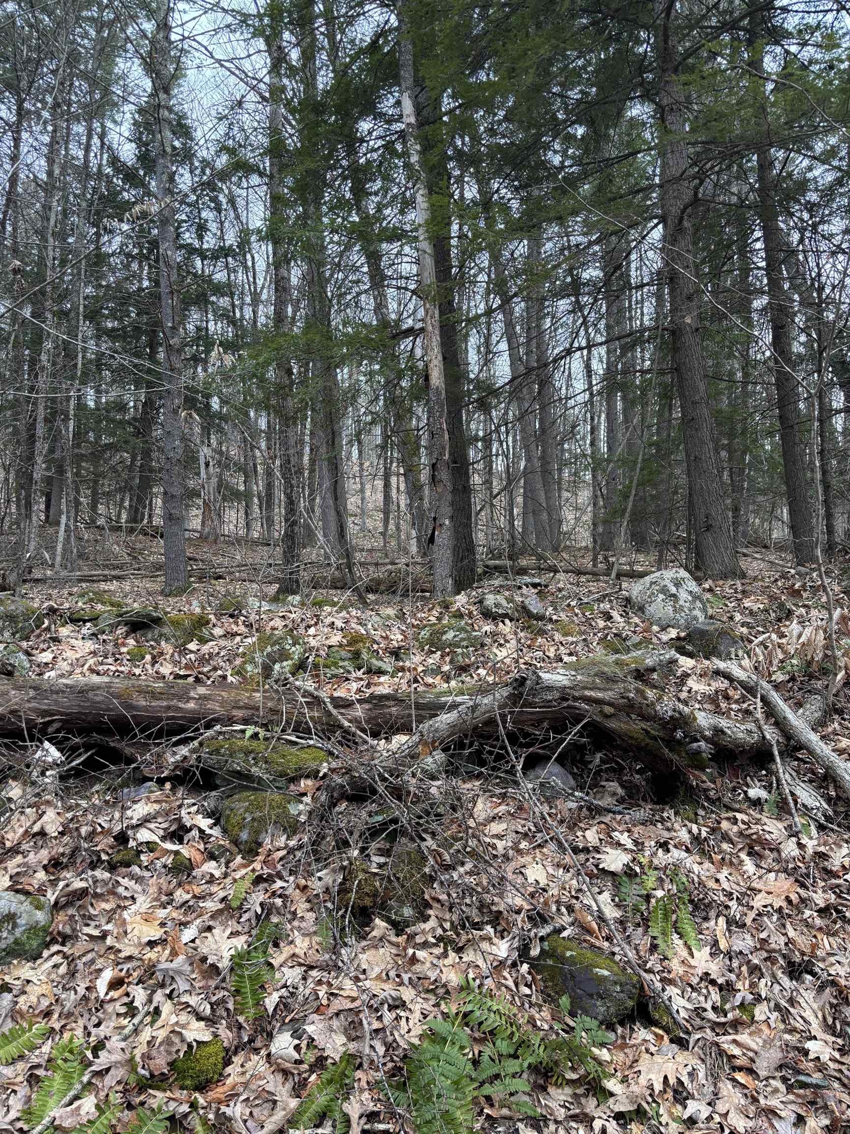 00 Coon Hill Road Property Photo 2
